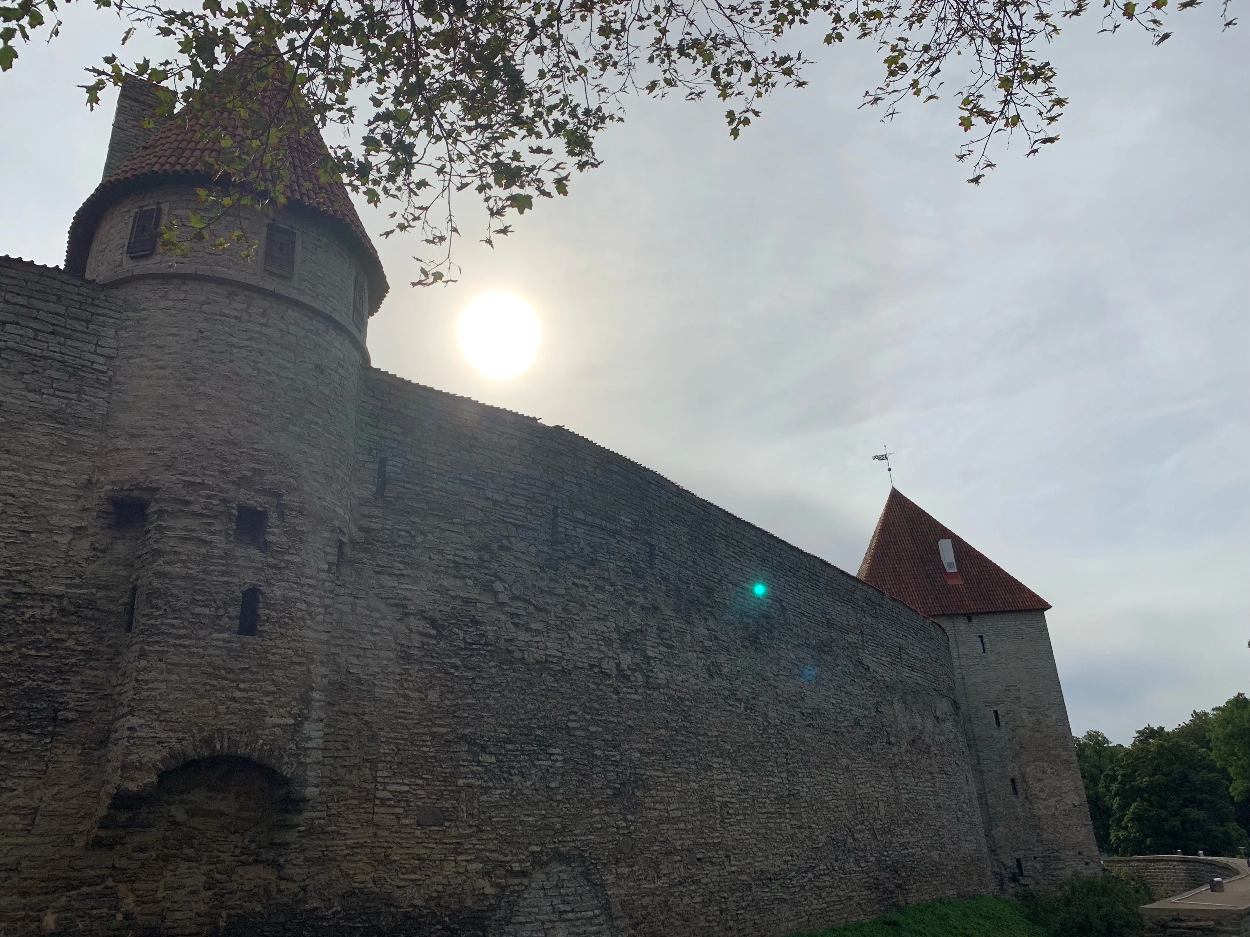IMG_0995.jpeg