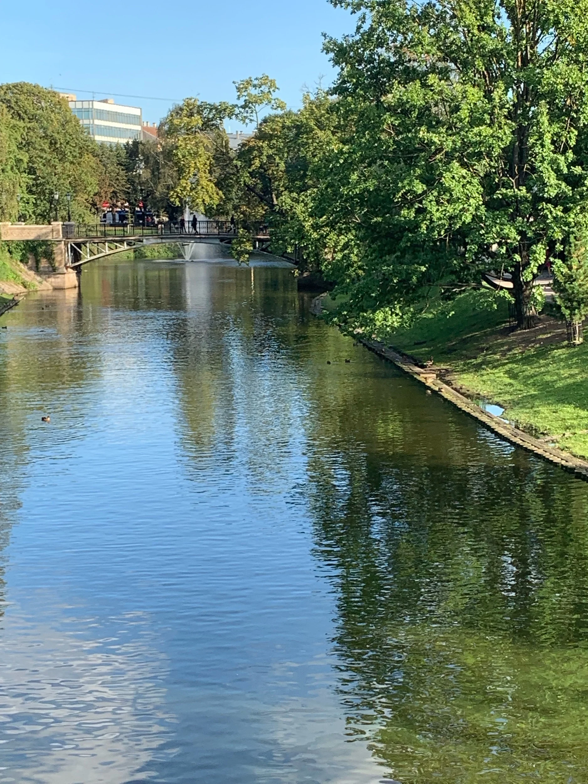 IMG_1522.jpeg