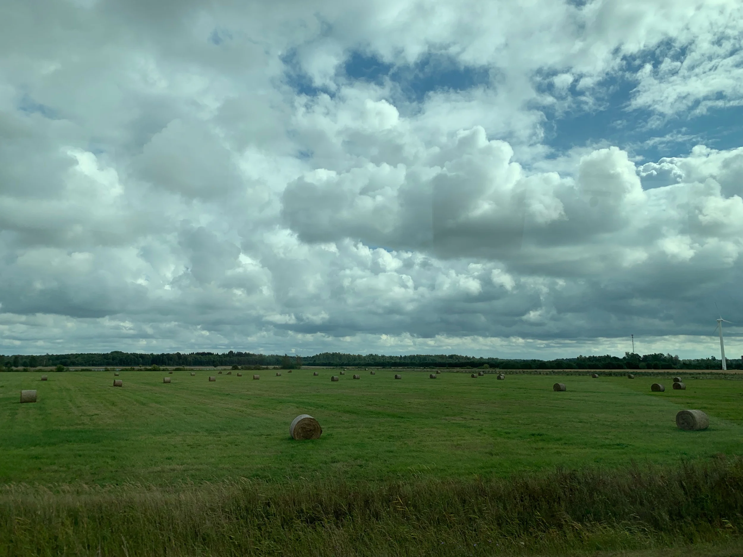 IMG_0282.jpeg