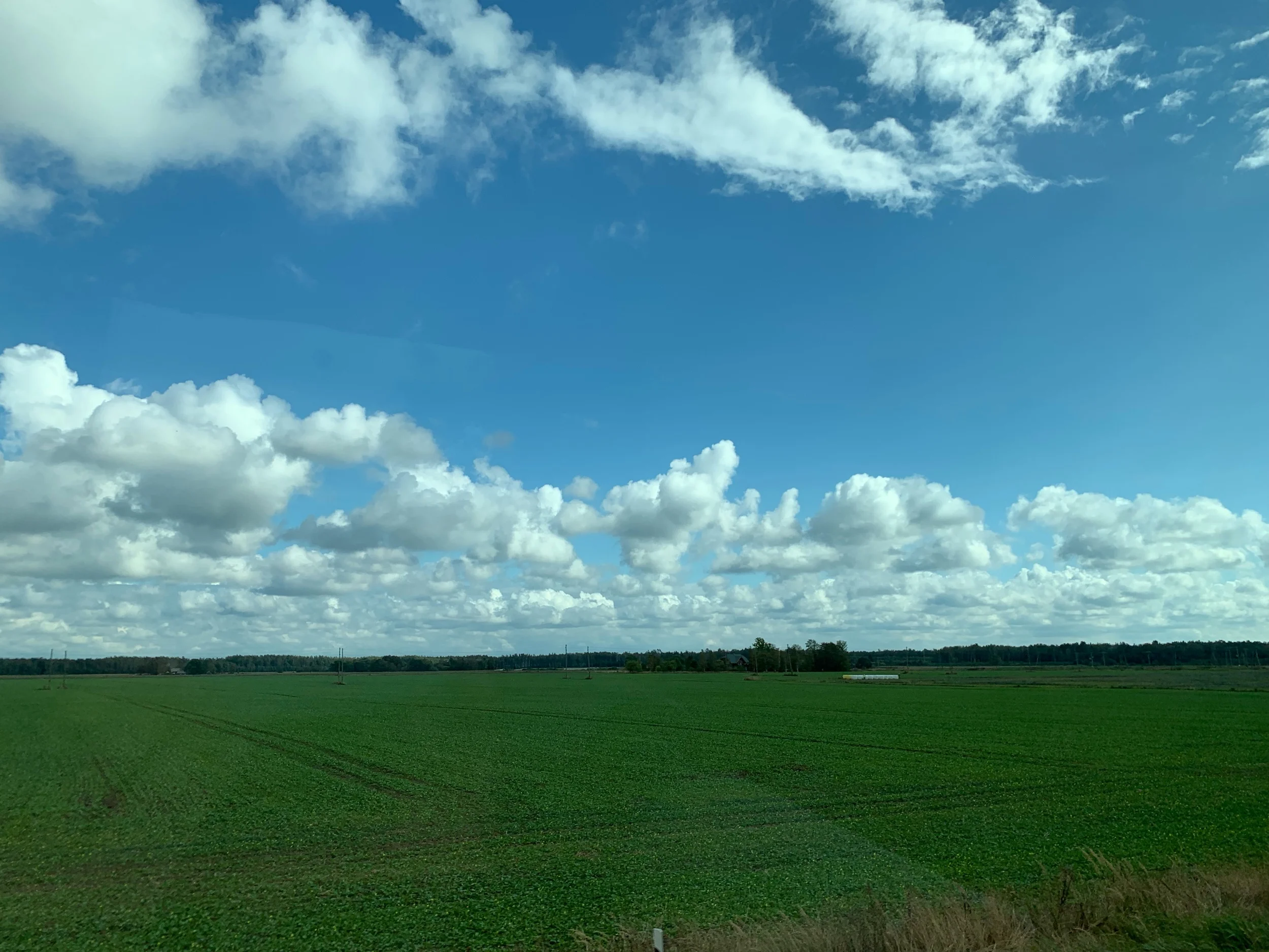 IMG_0286.jpeg