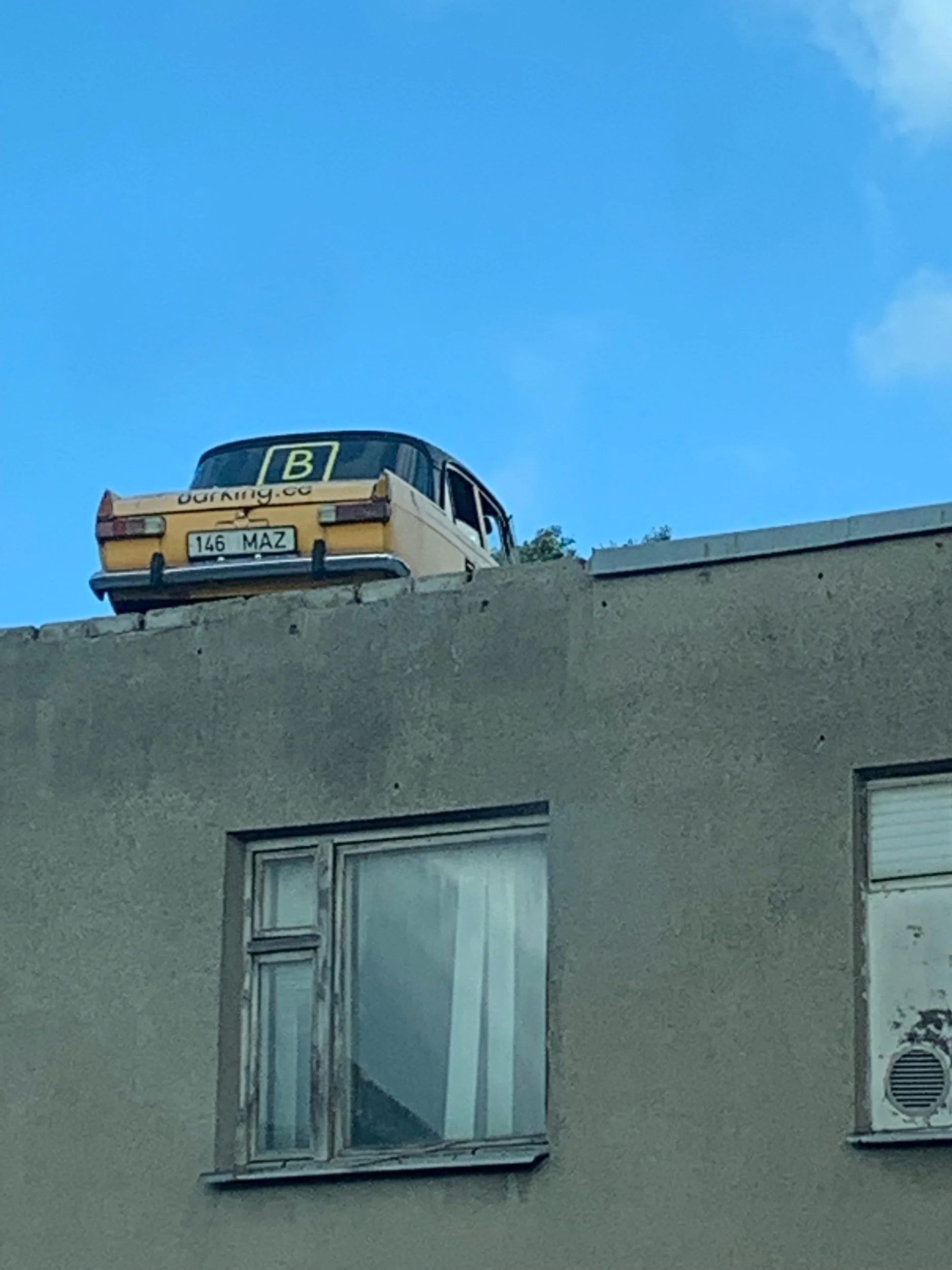 IMG_1489.jpeg