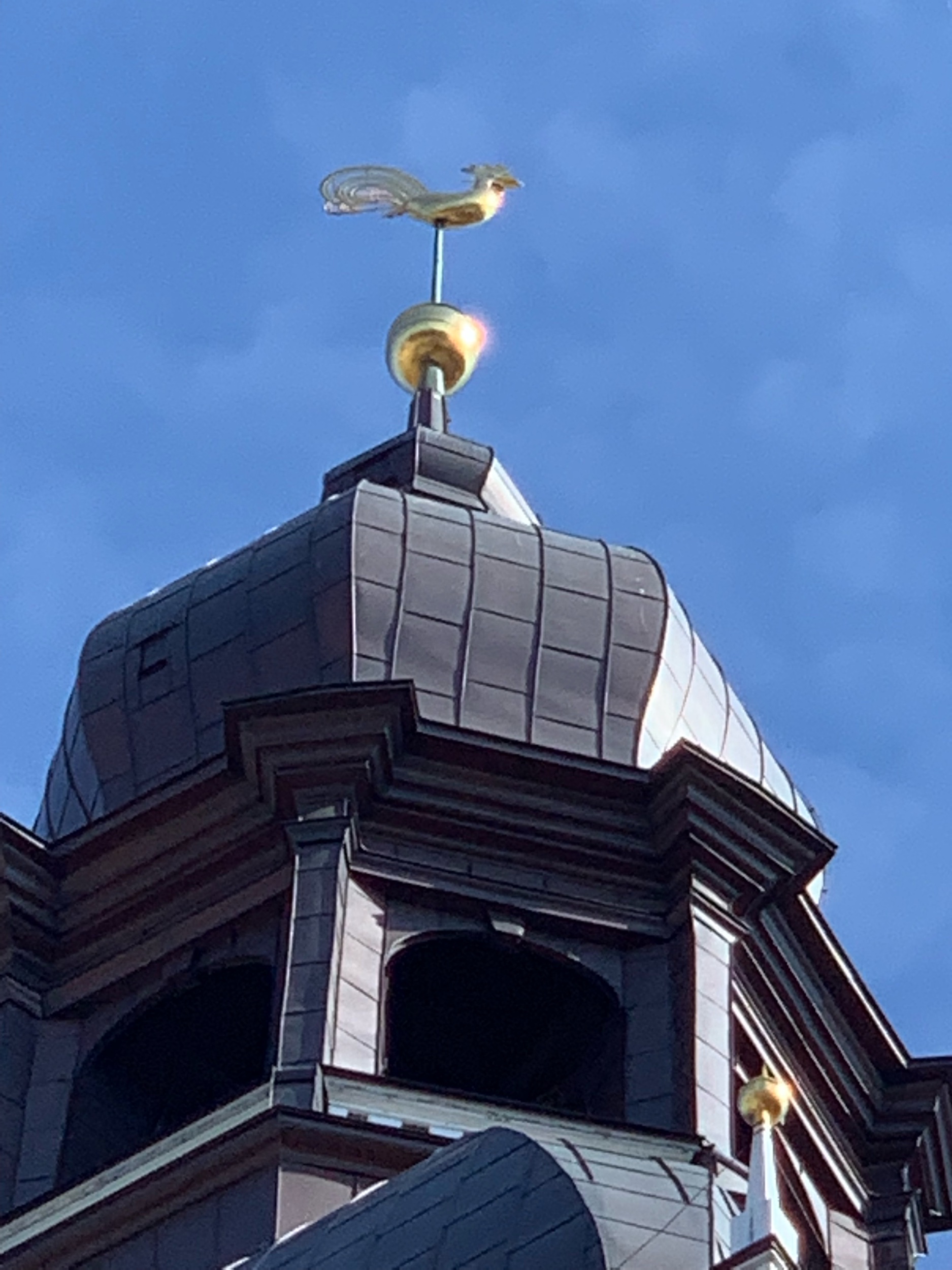 IMG_0648.jpeg
