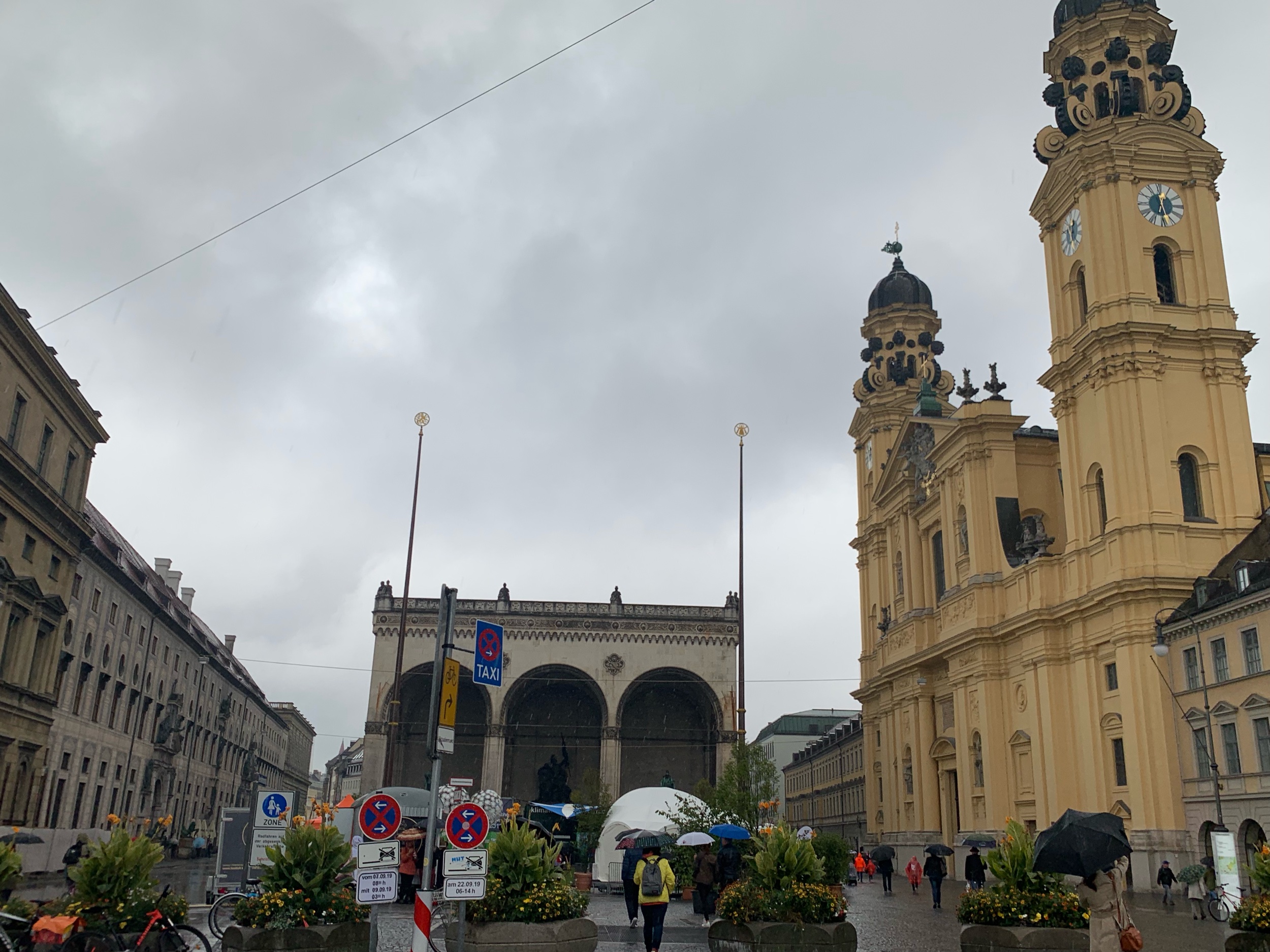 IMG_2419.jpeg