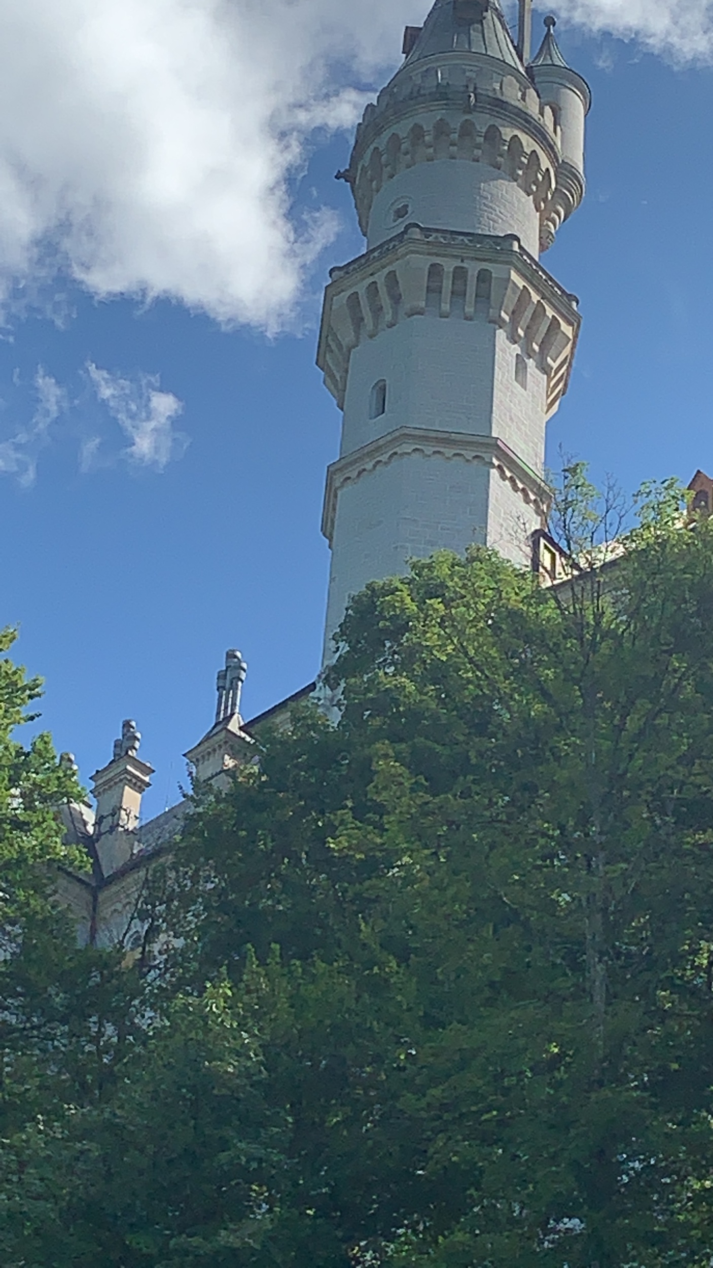 IMG_3307.jpeg