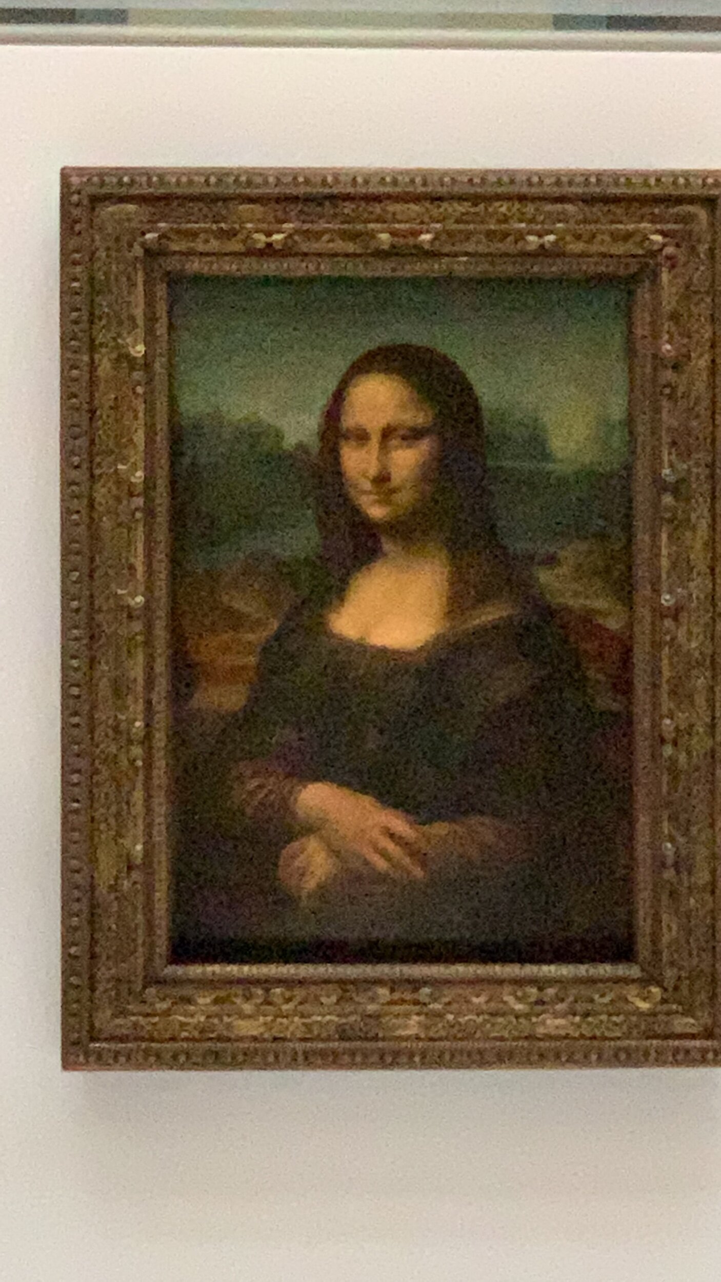 IMG_6981.jpeg