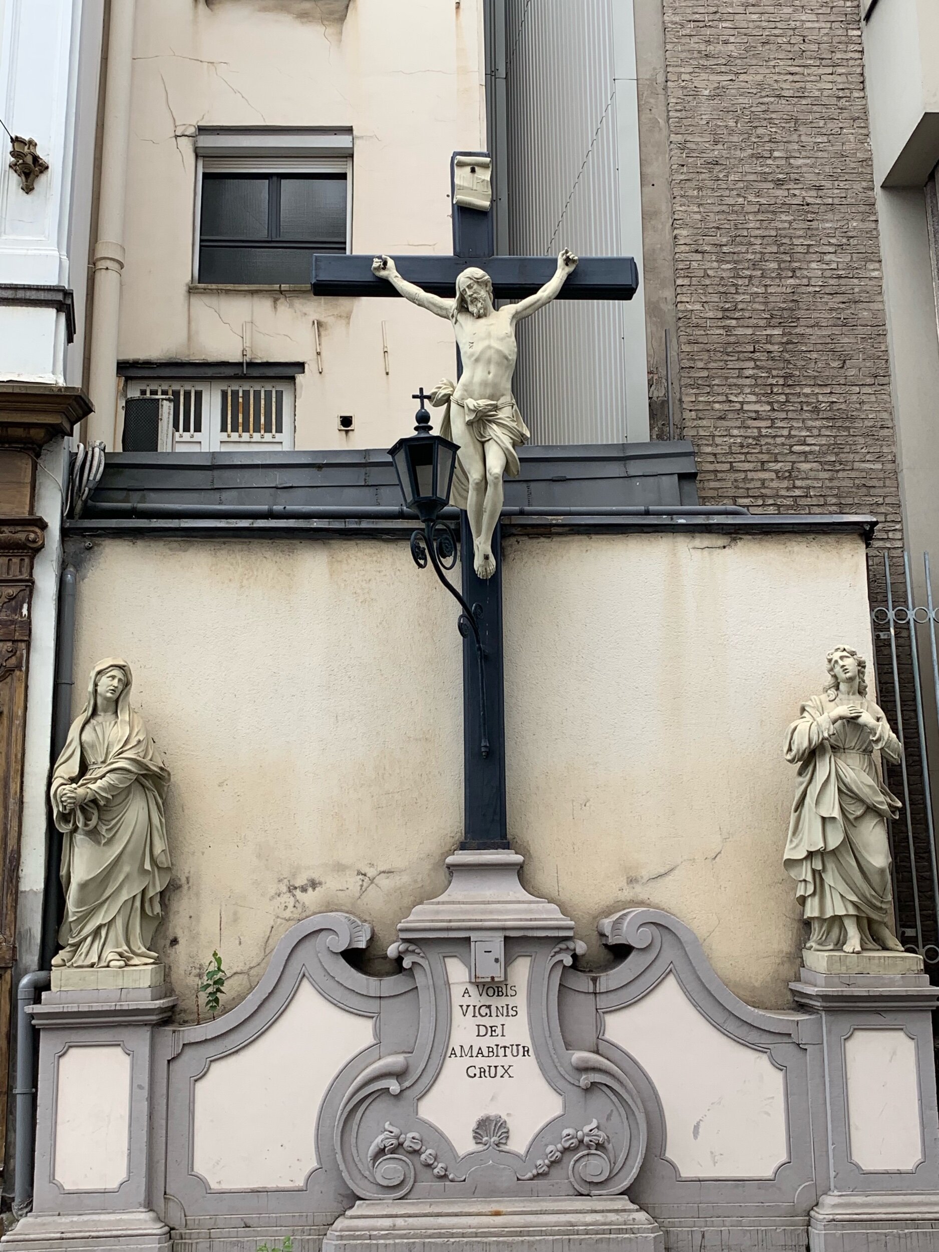 IMG_6051.jpeg