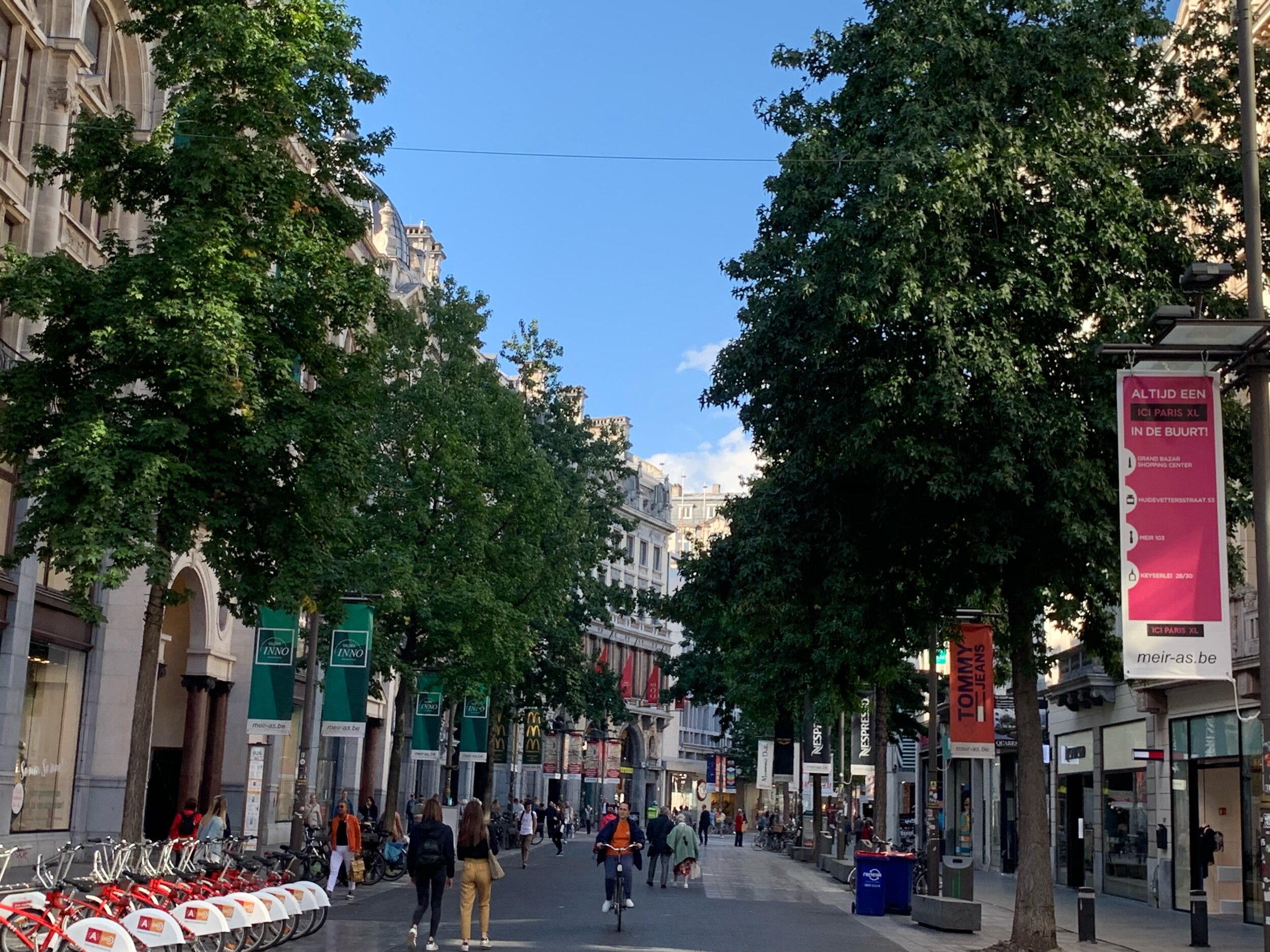 IMG_6474.jpeg