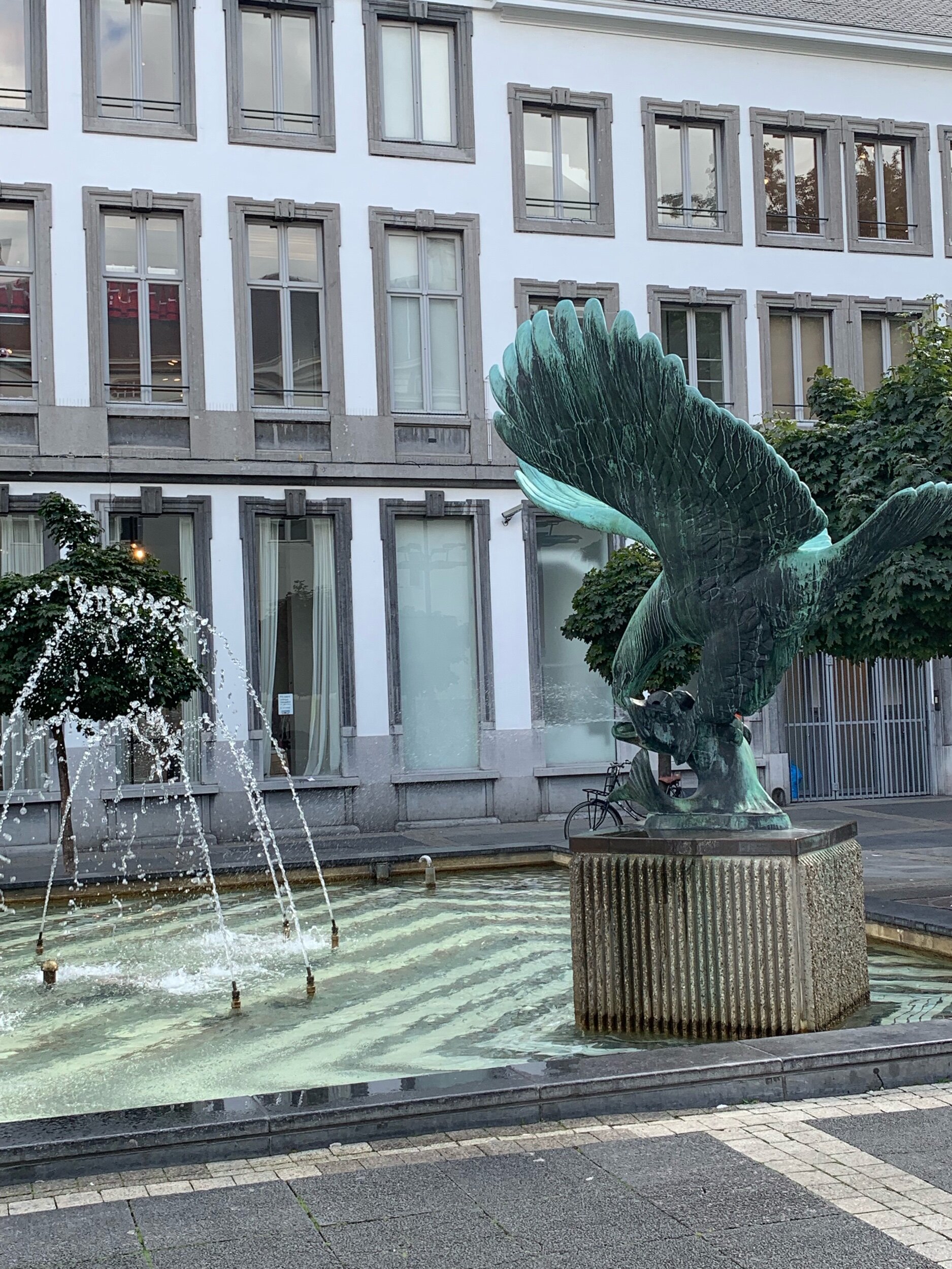 IMG_6041.jpeg