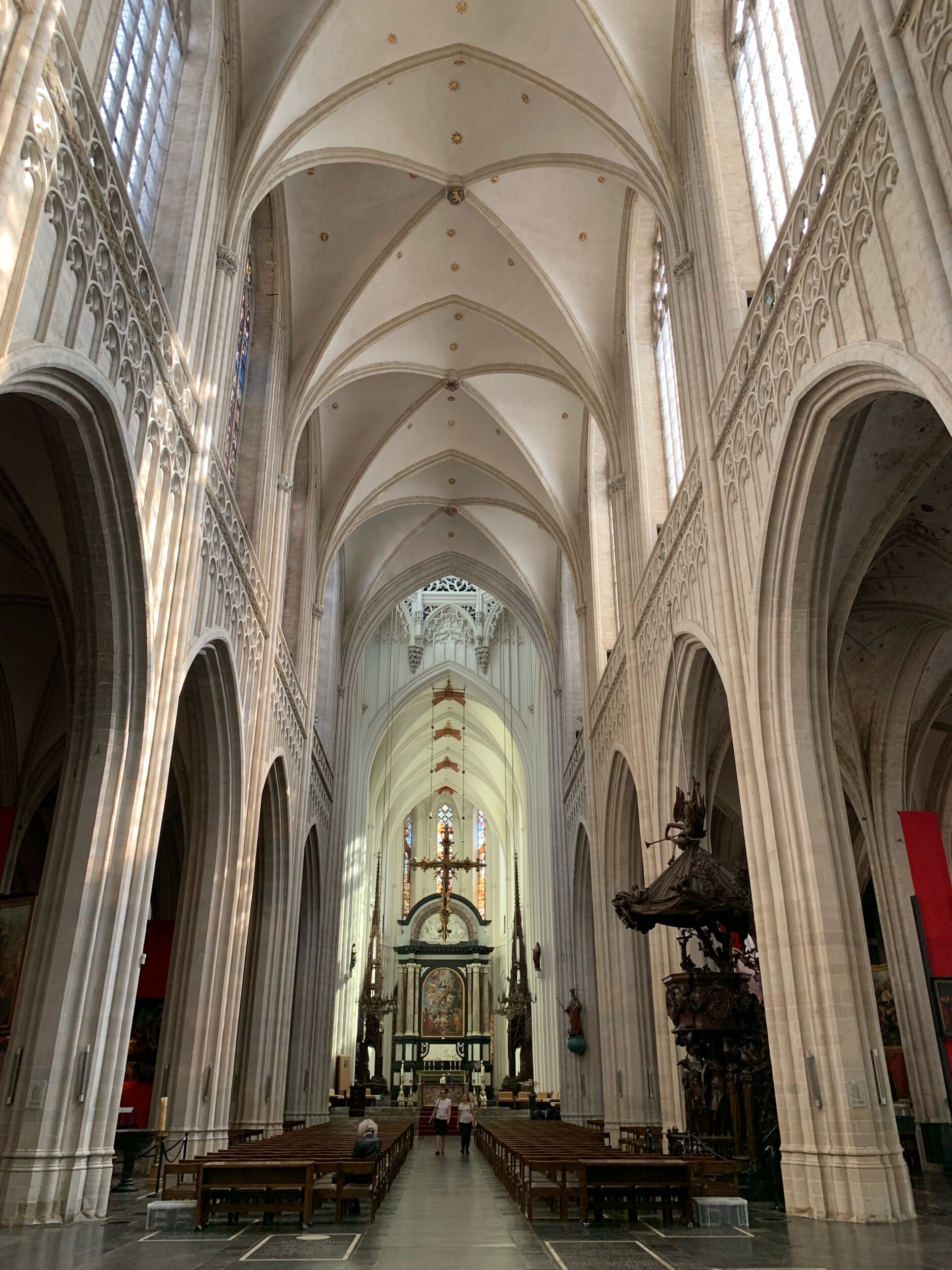 IMG_6564.jpeg