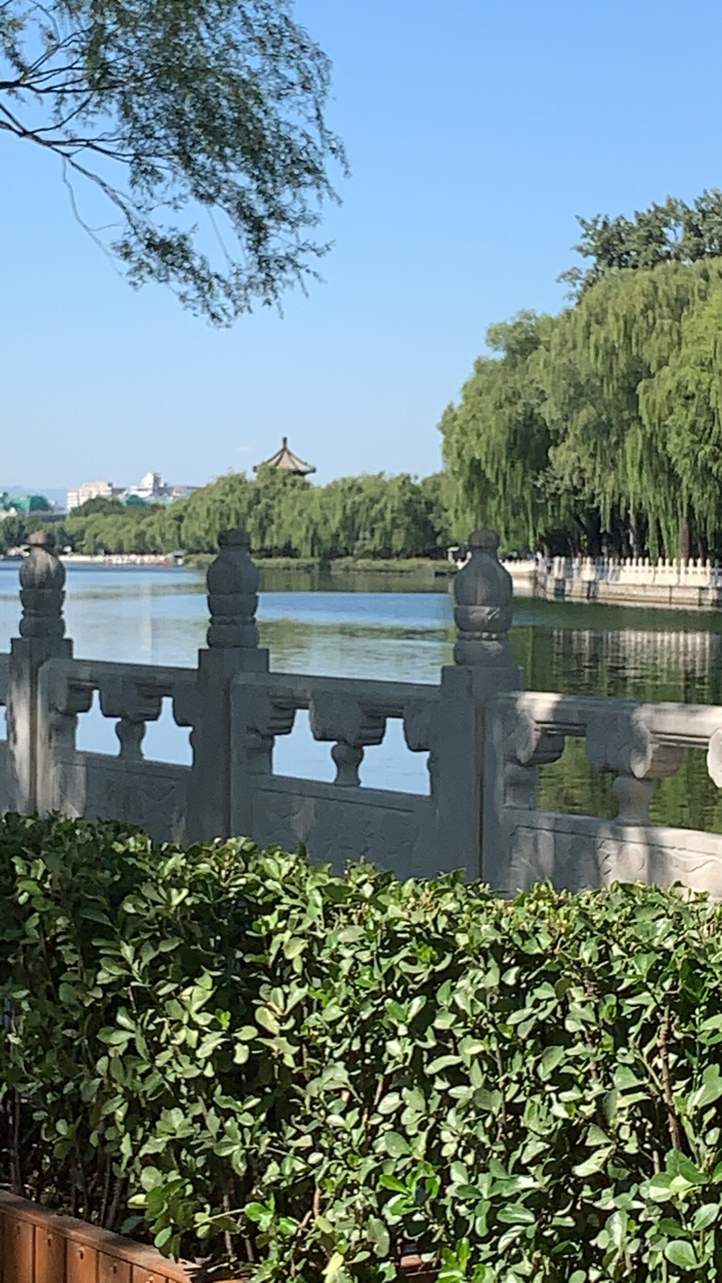 IMG_7946.jpeg
