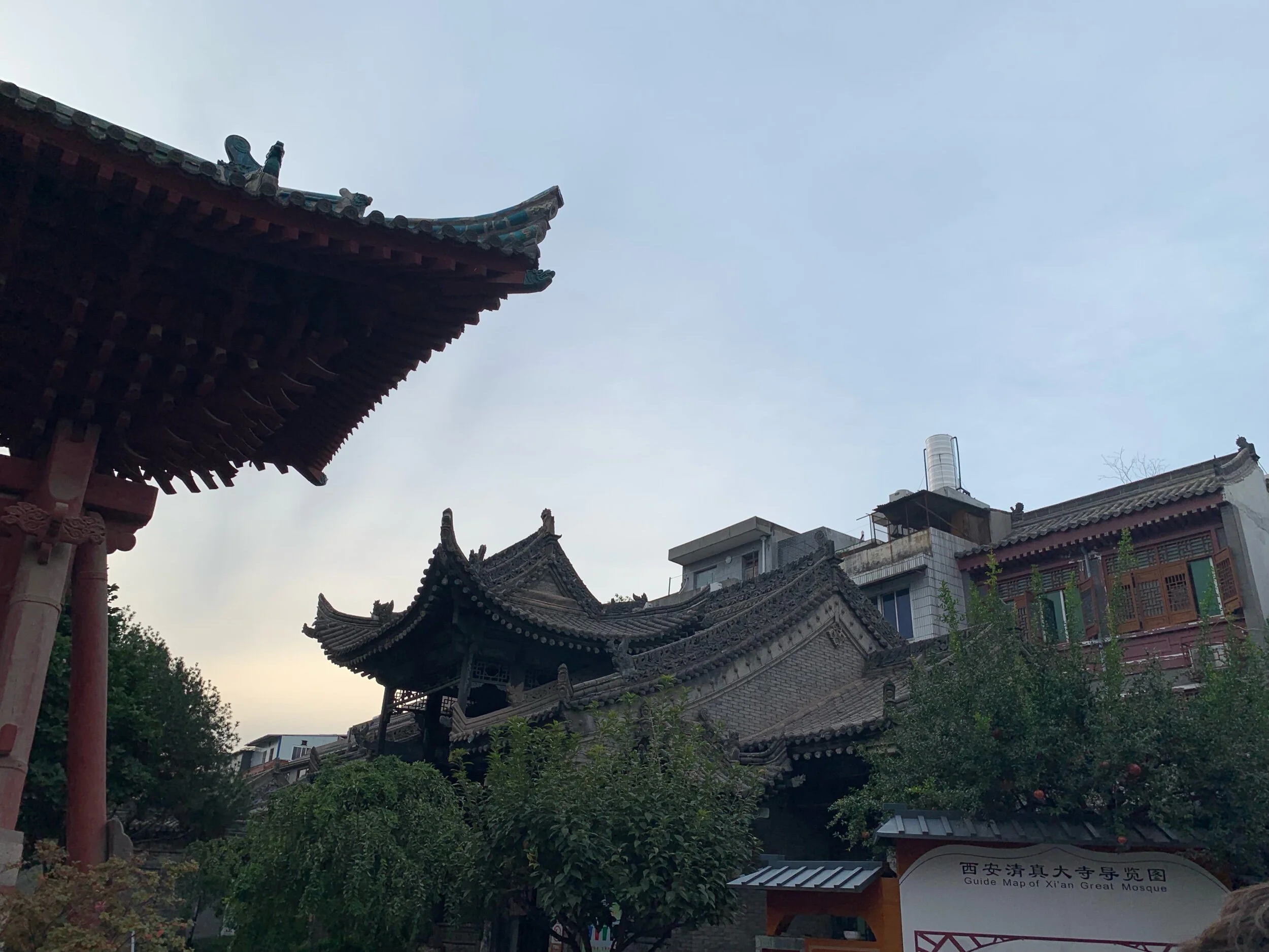 IMG_0154.jpeg