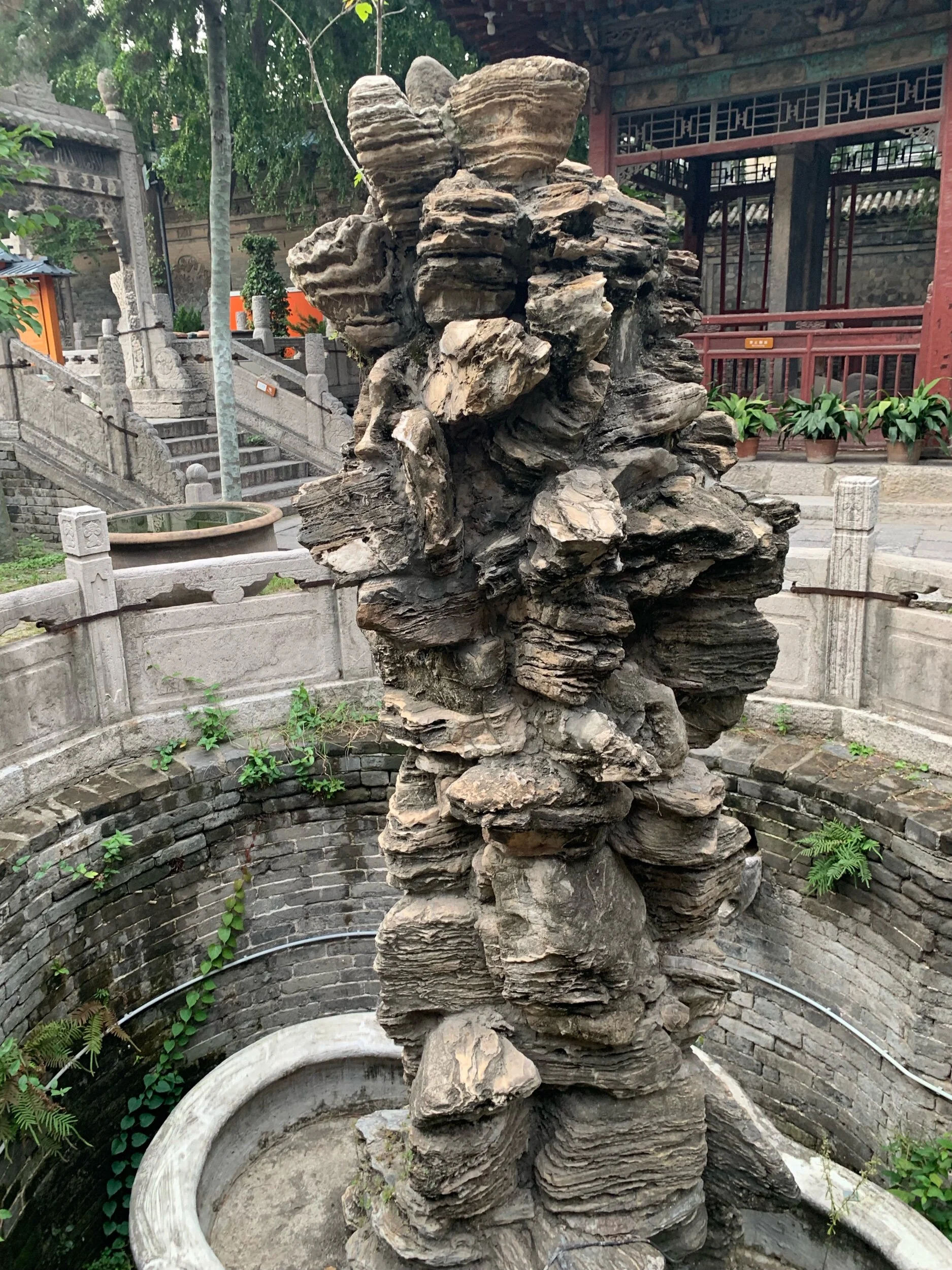 IMG_0174.jpeg