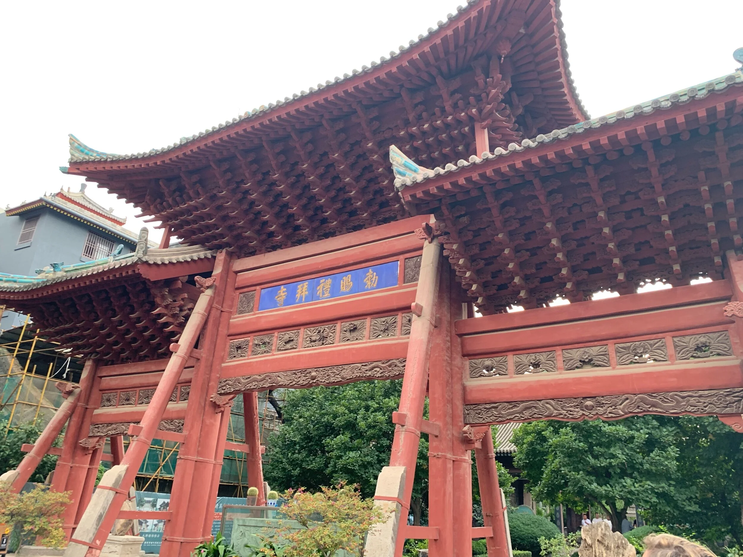 IMG_0153.jpeg