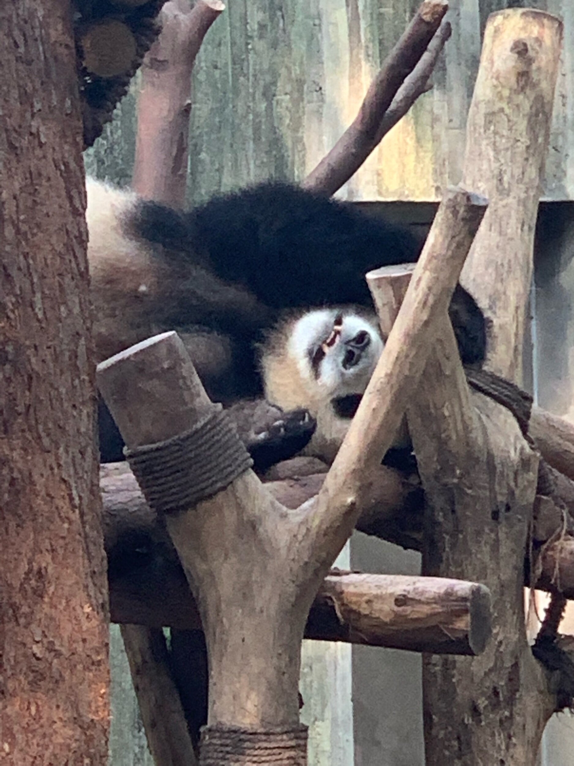 IMG_2021.jpeg