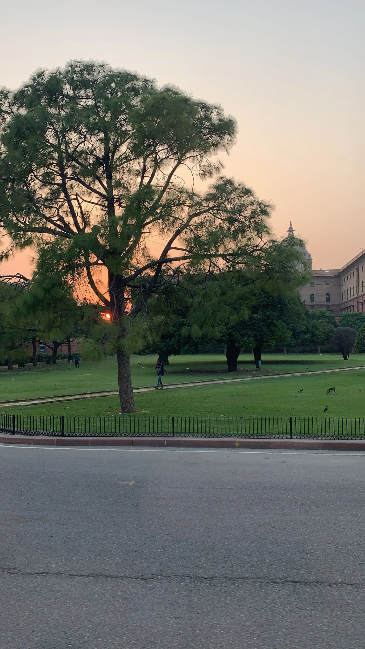 IMG_6401.jpeg