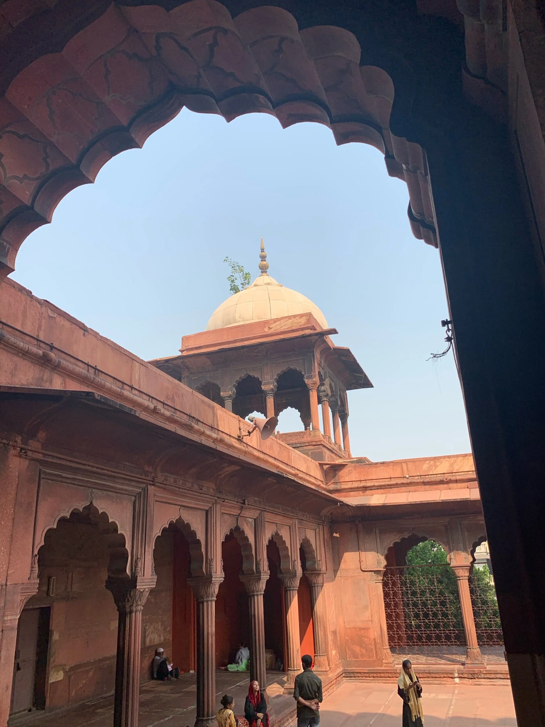 IMG_2040.jpeg