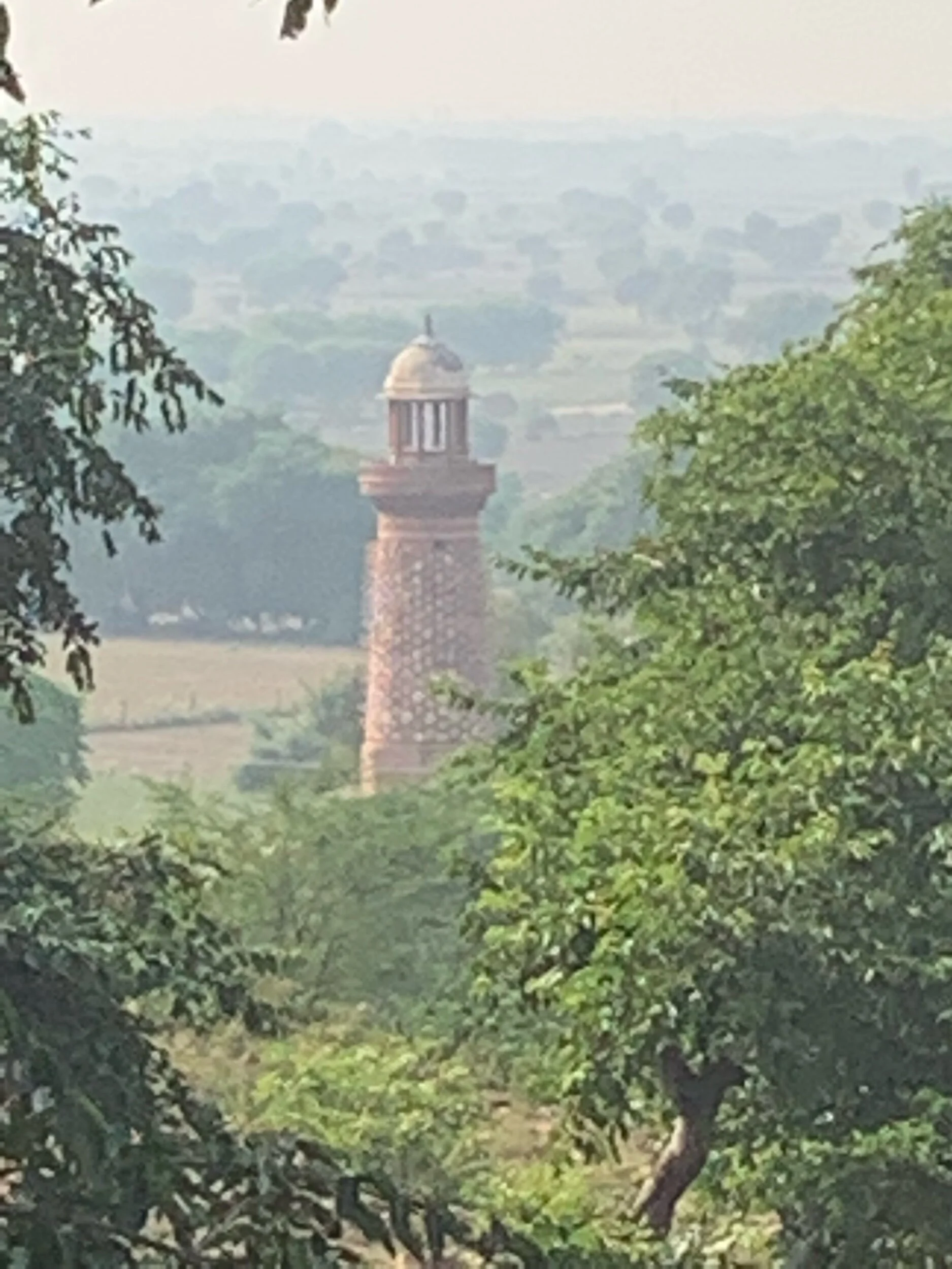 IMG_8047.jpeg