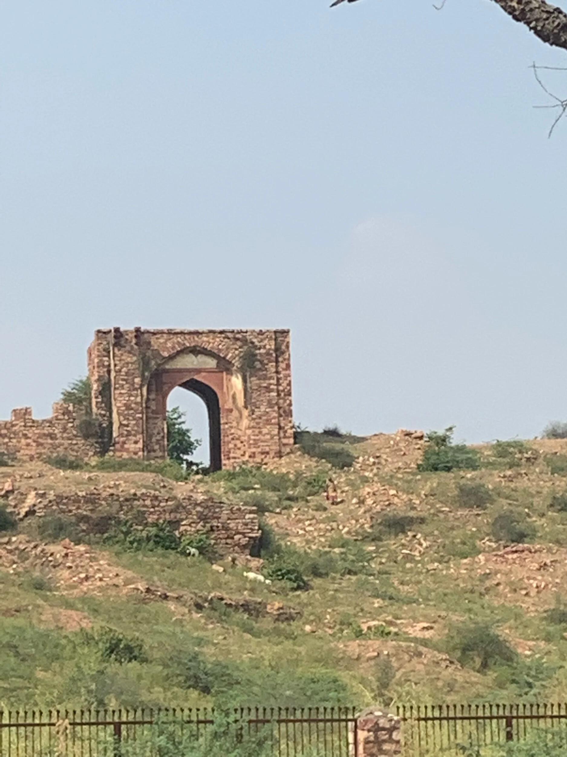 IMG_7997.jpeg