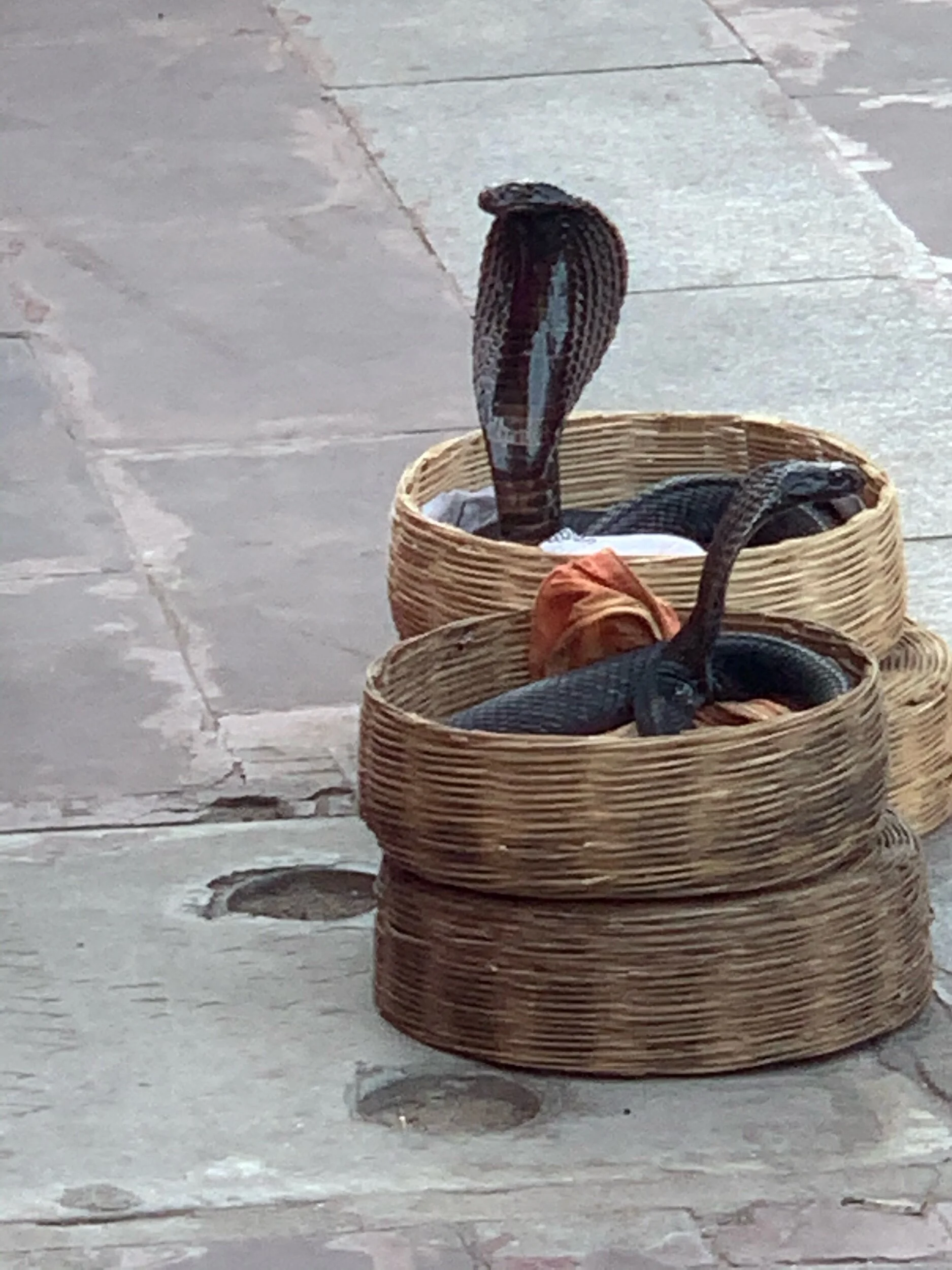 IMG_2765.jpeg