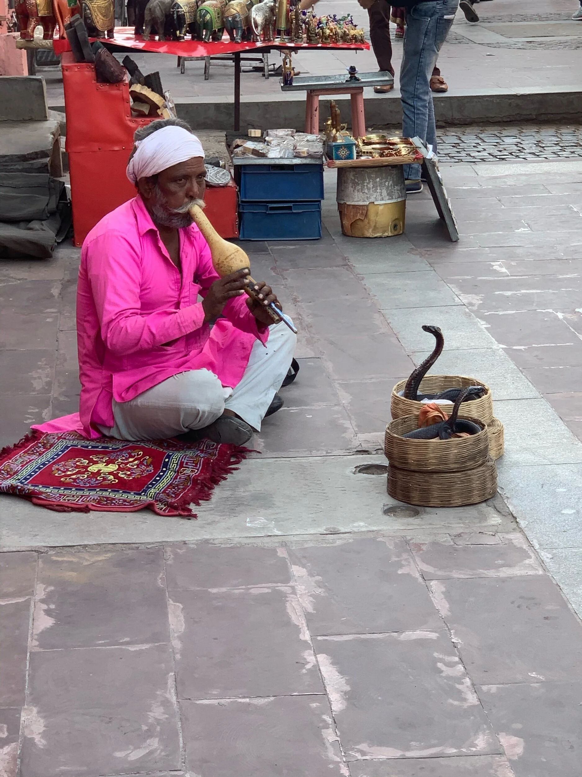 IMG_2769.jpeg
