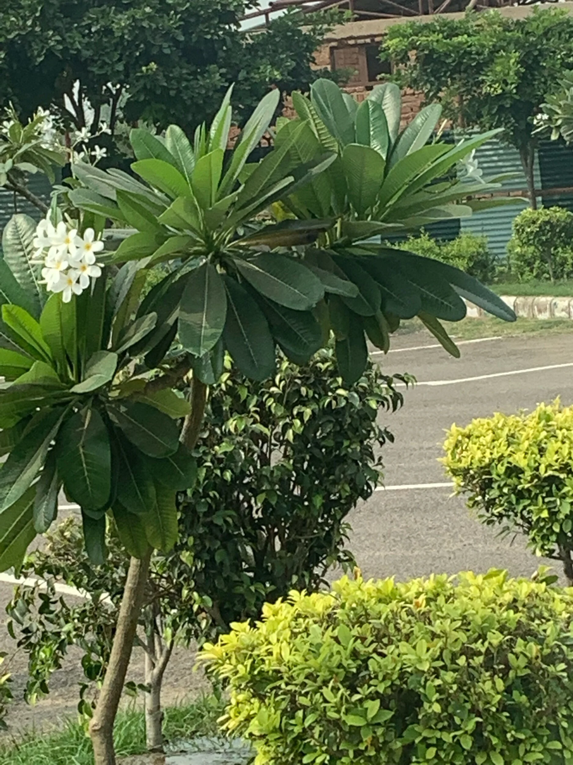 IMG_9454.jpeg