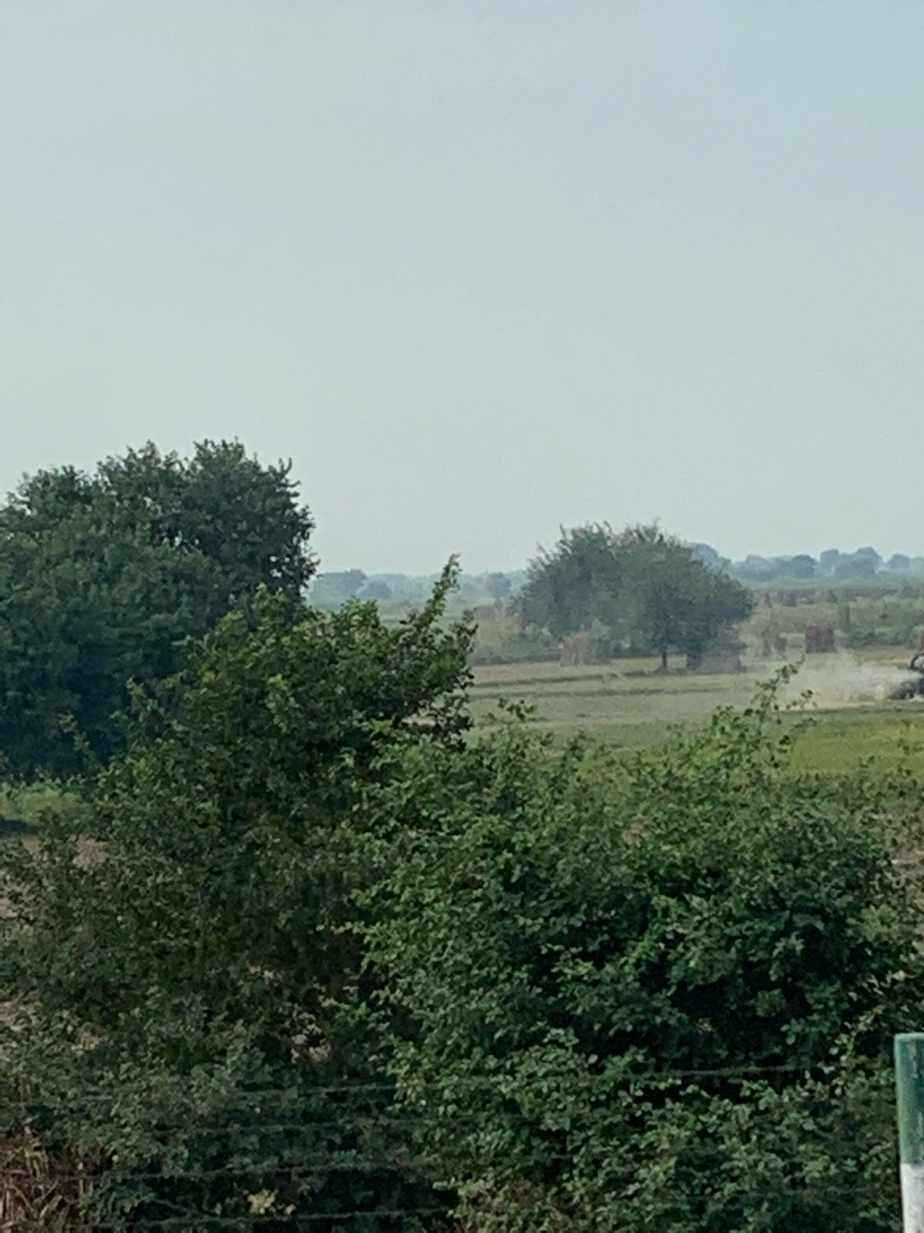 IMG_9541.jpeg