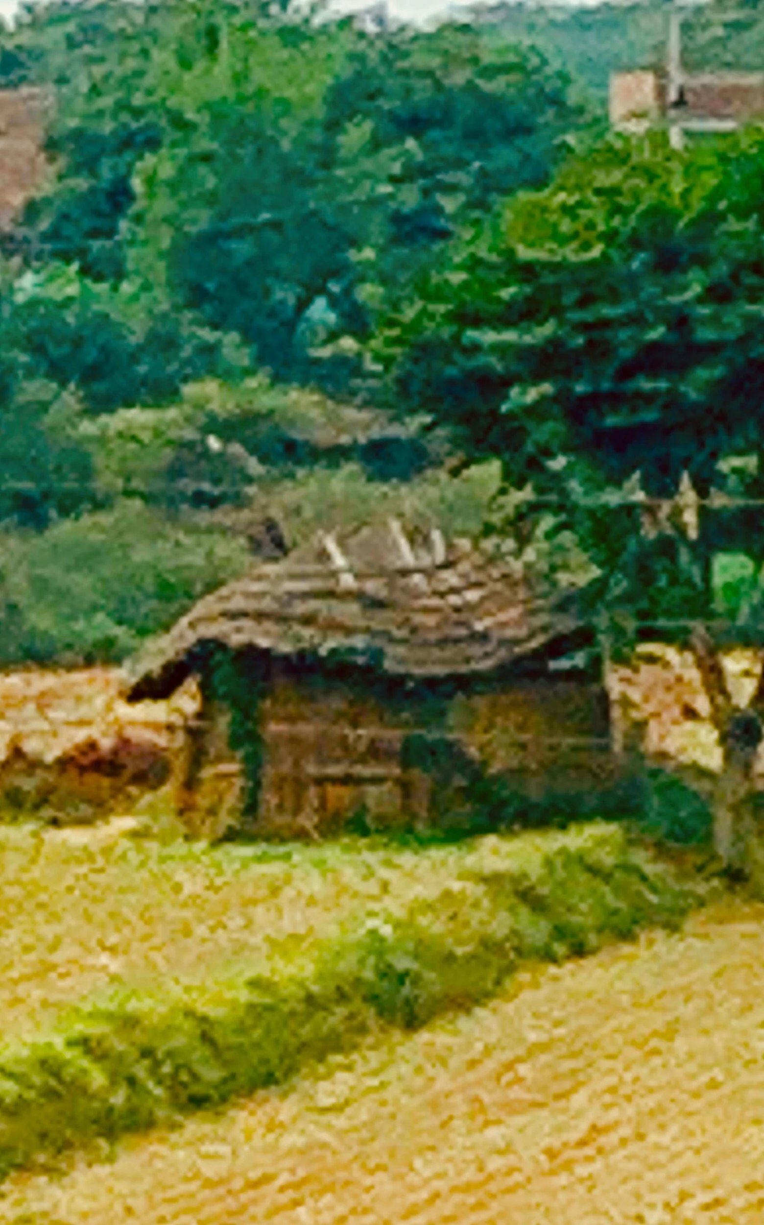 IMG_9481.jpeg