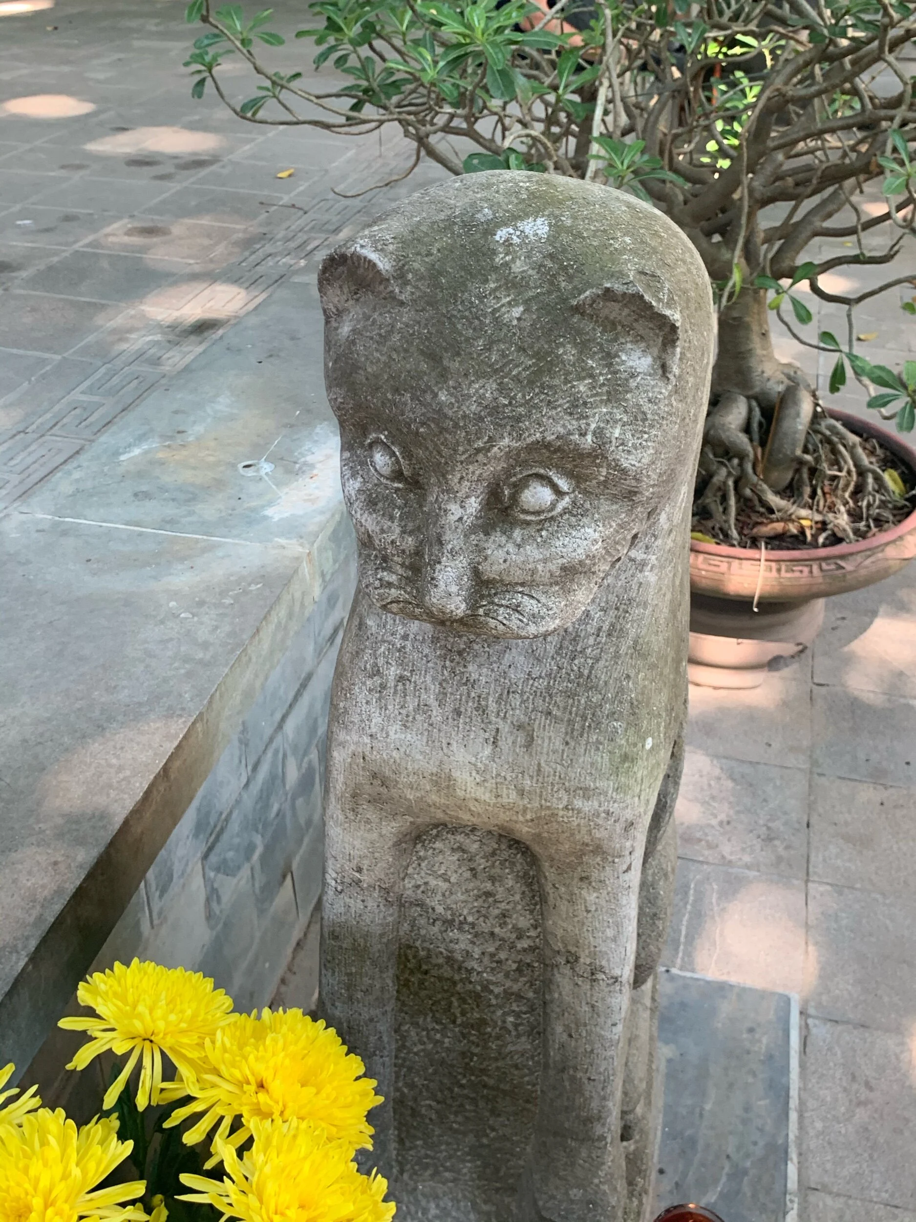 IMG_9134.jpeg
