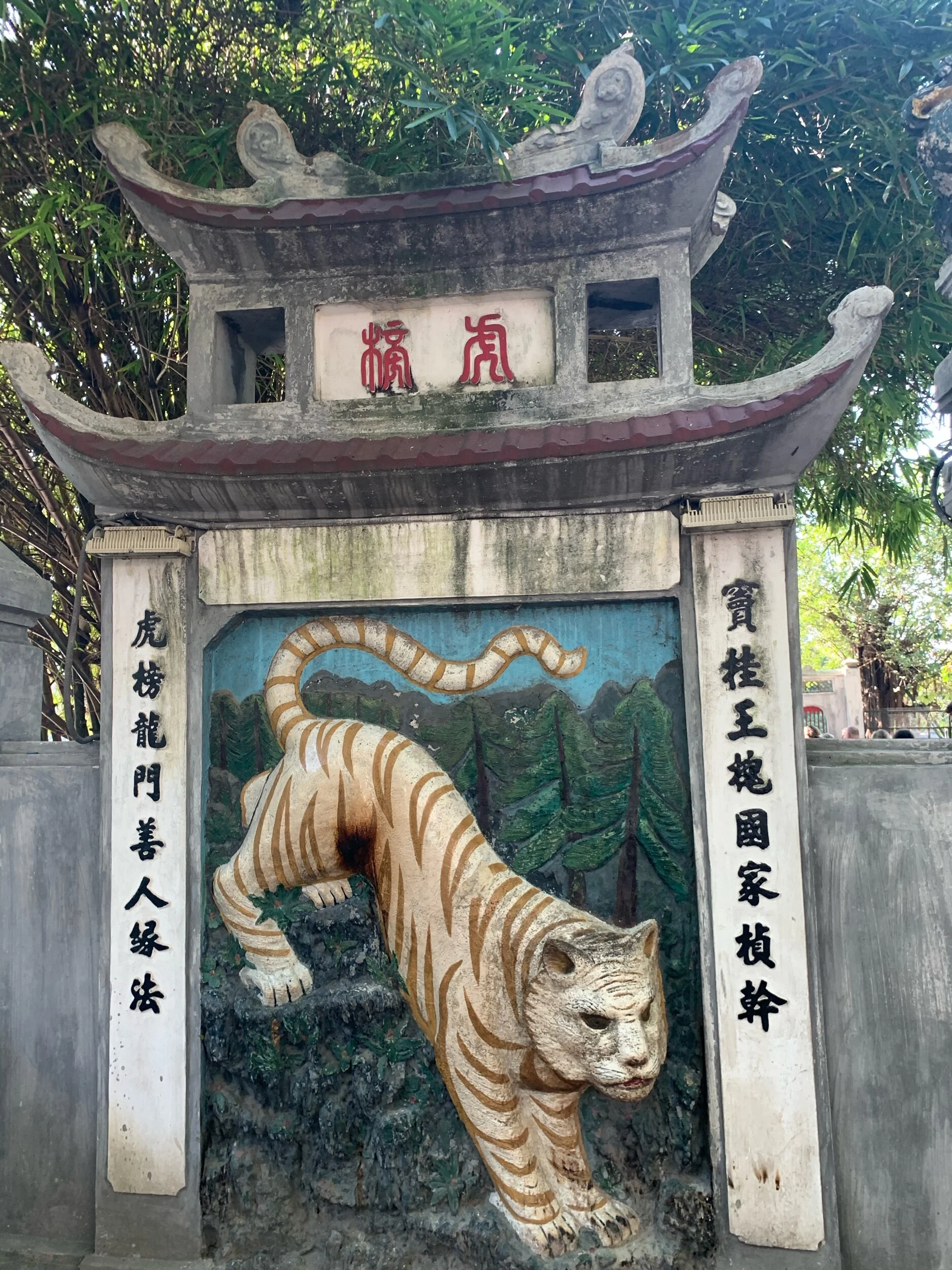 IMG_9262.jpeg