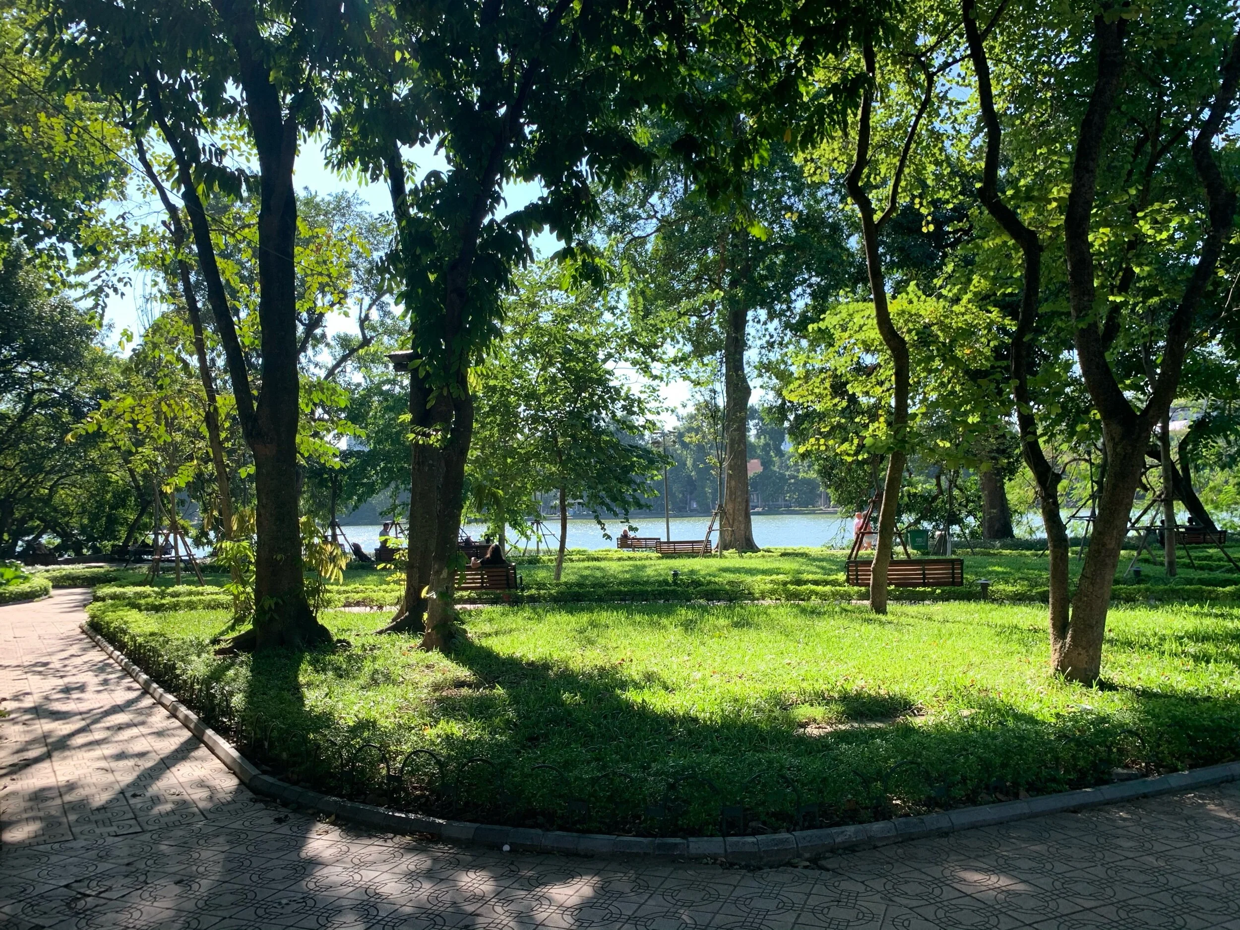 IMG_9246.jpeg