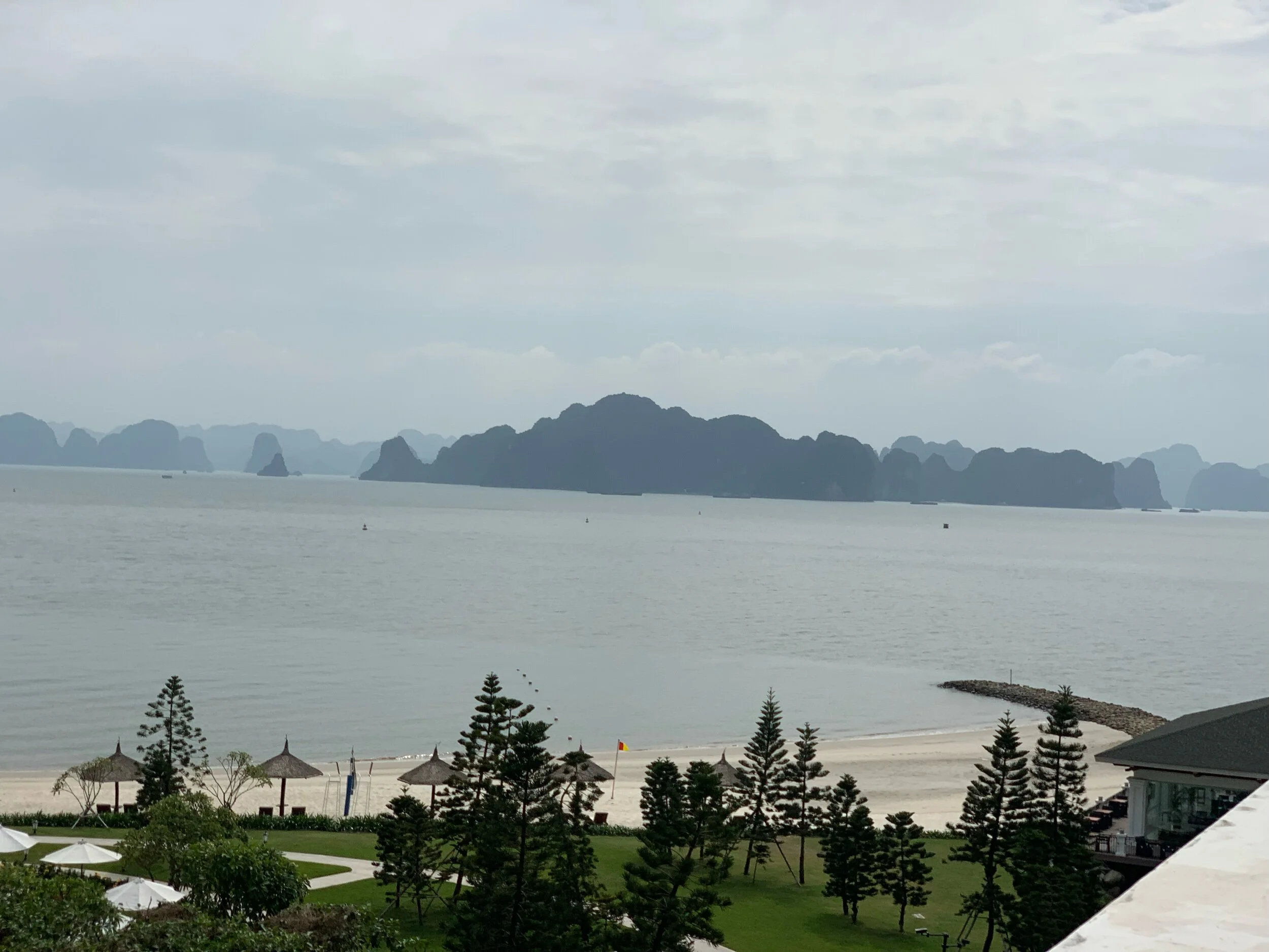 IMG_3957.jpeg