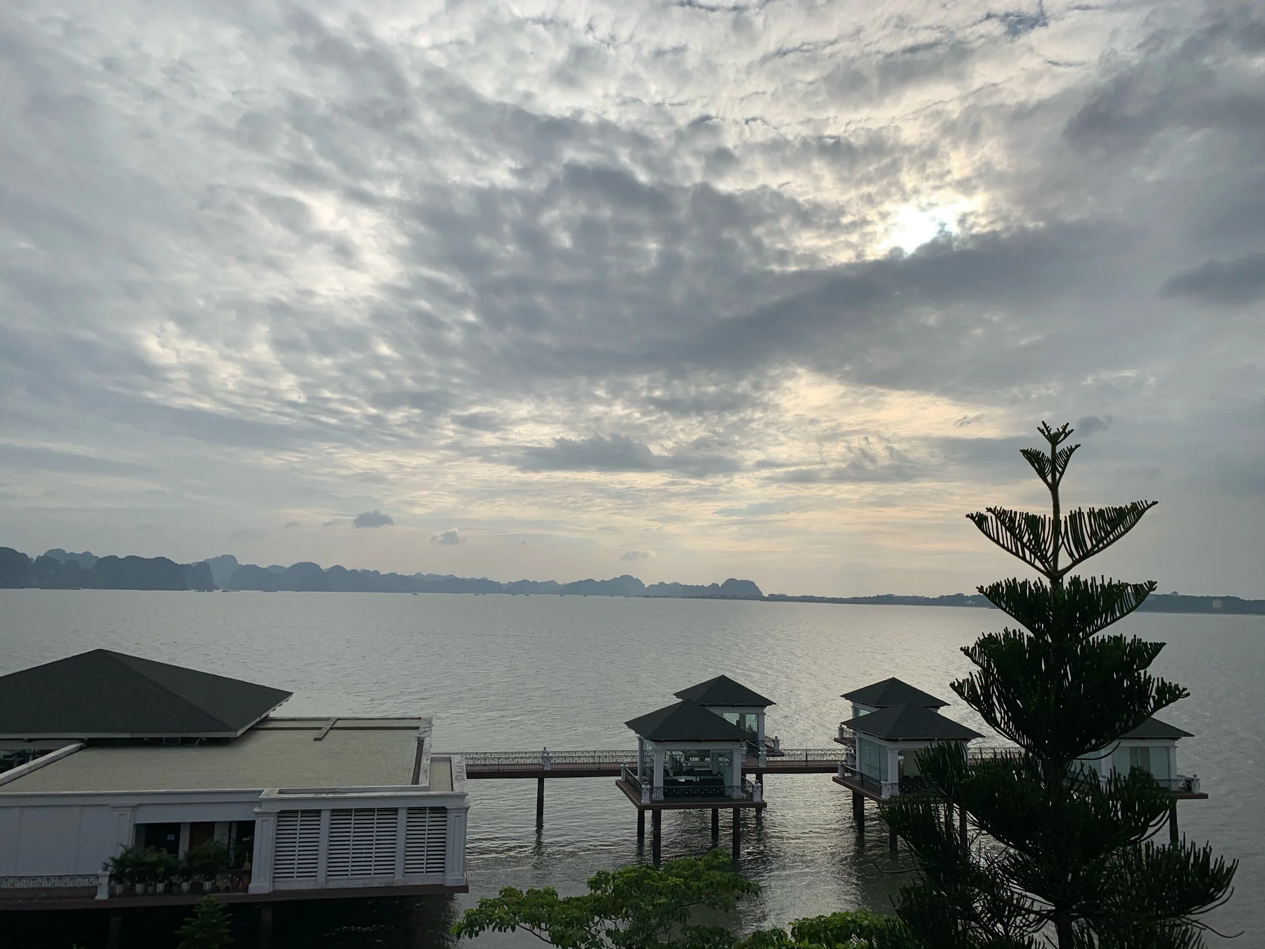IMG_1219.jpeg
