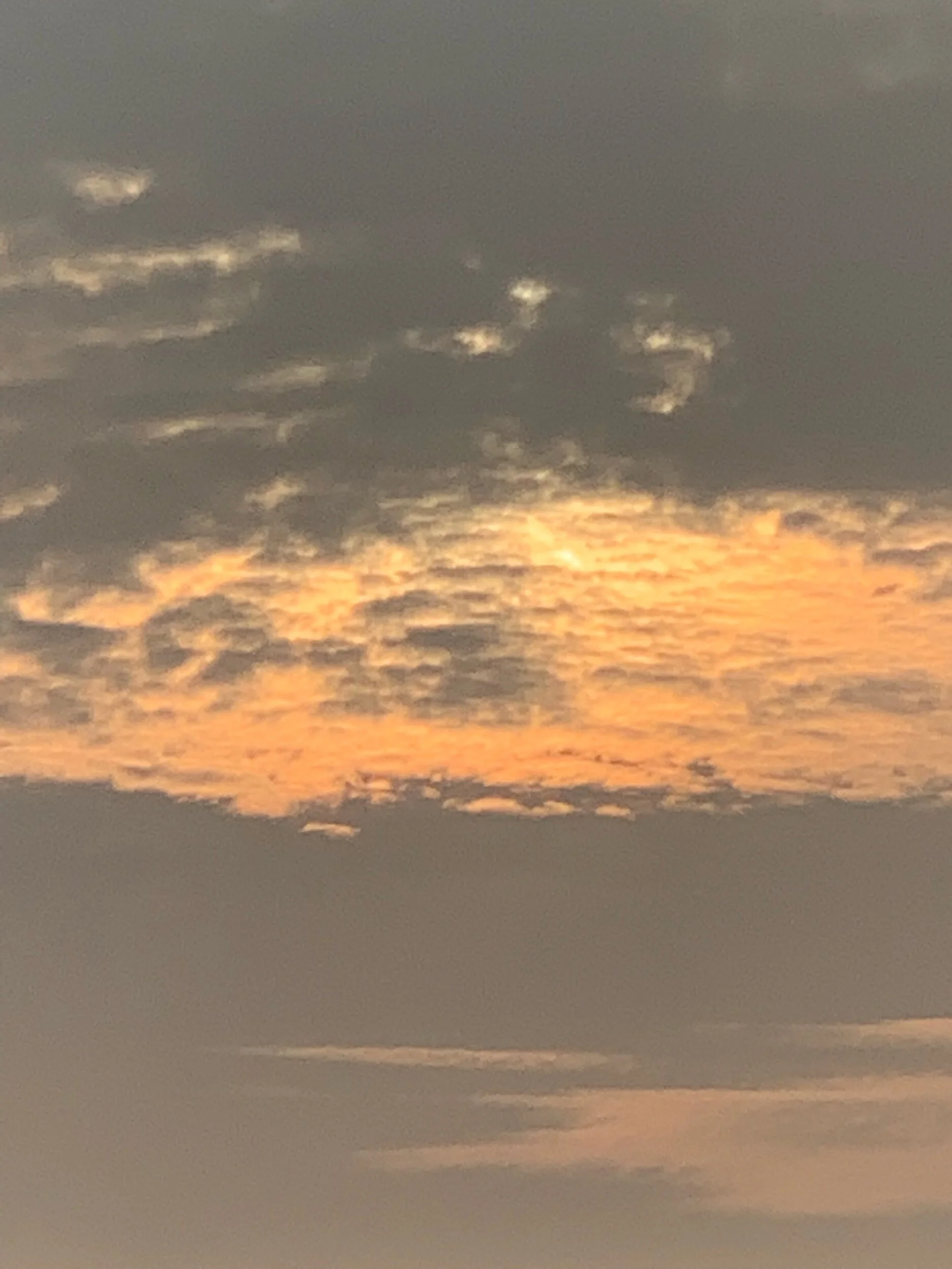 IMG_4080.jpeg