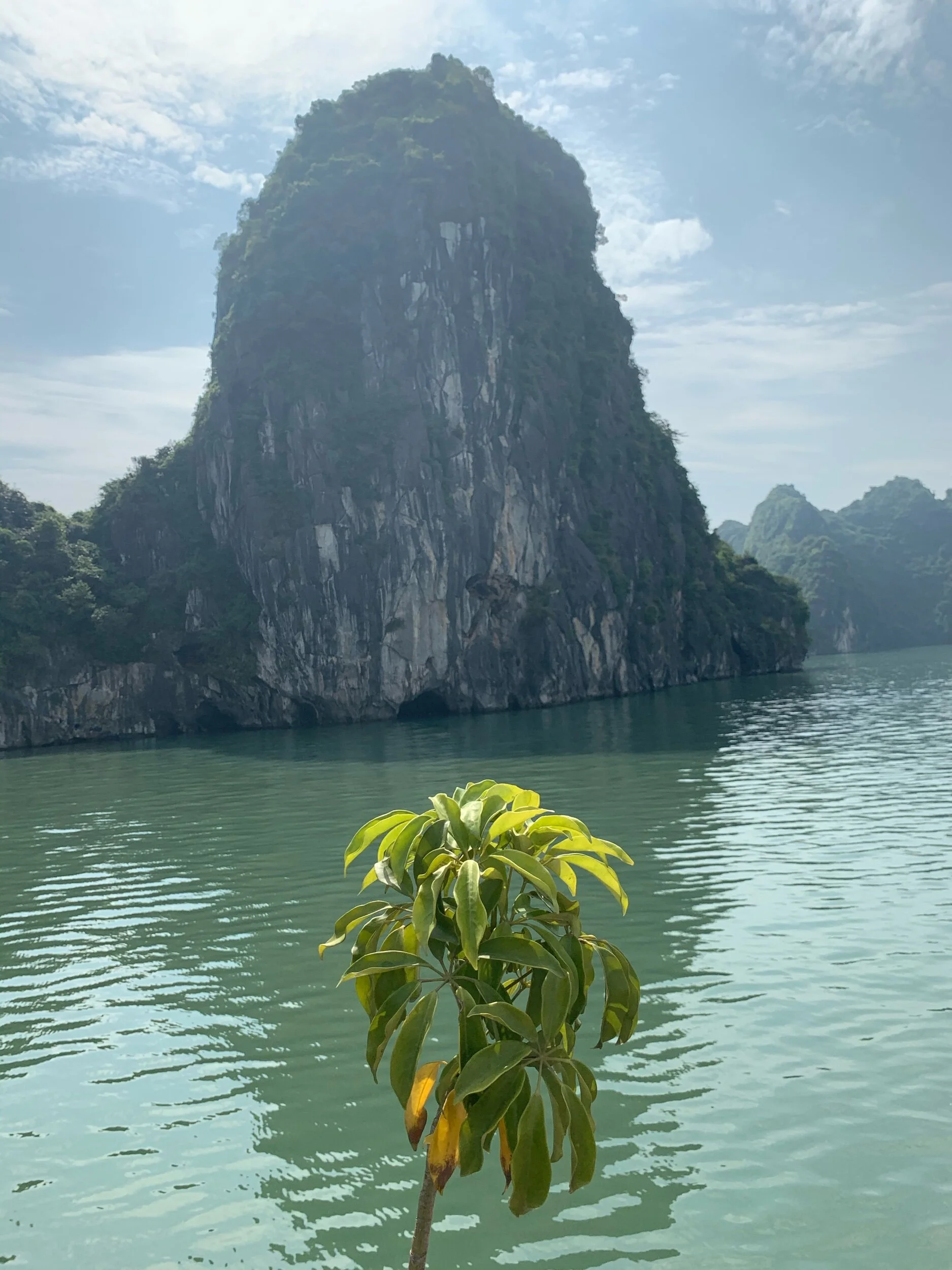 IMG_1348.jpeg