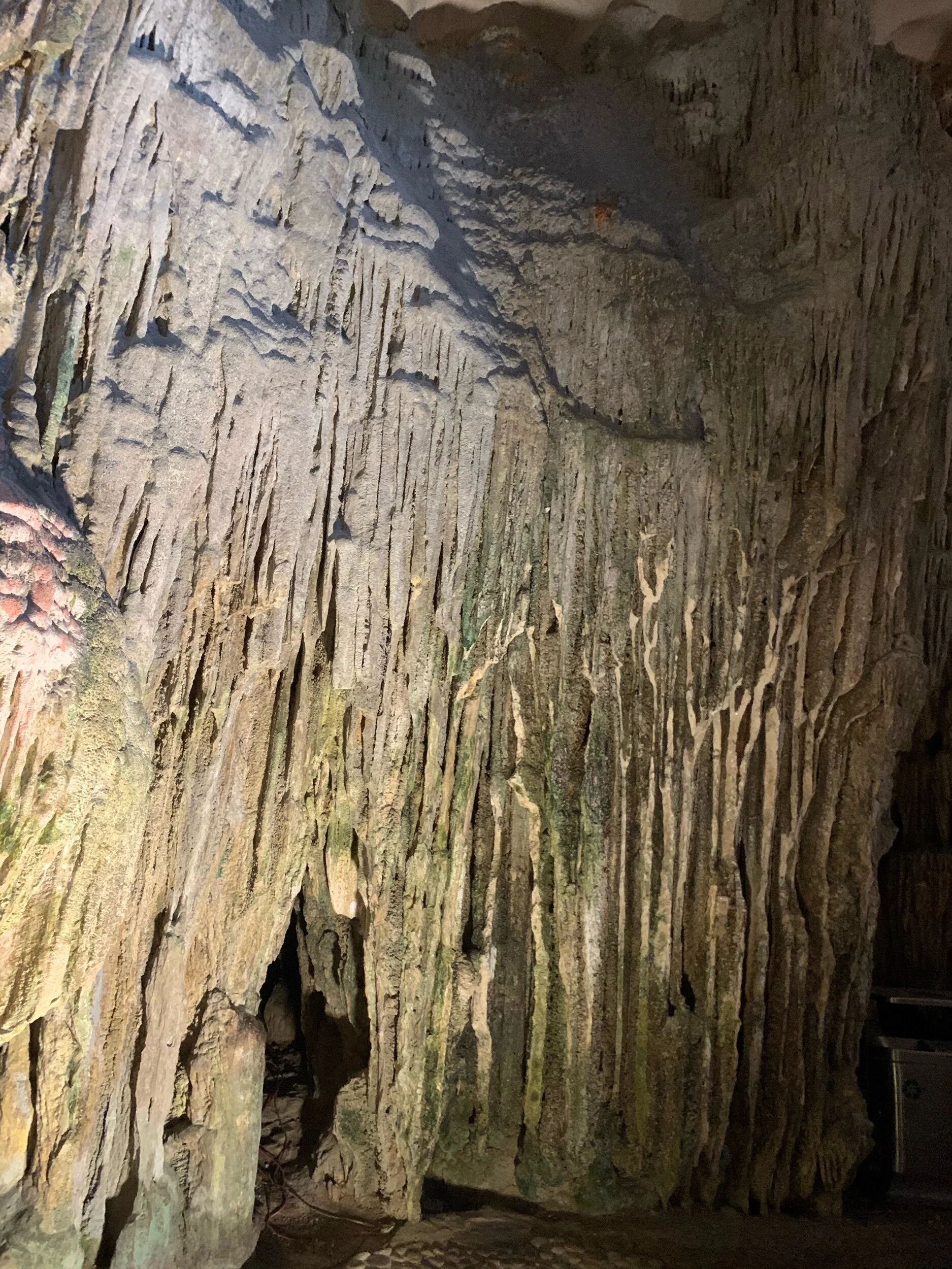 IMG_1417.jpeg
