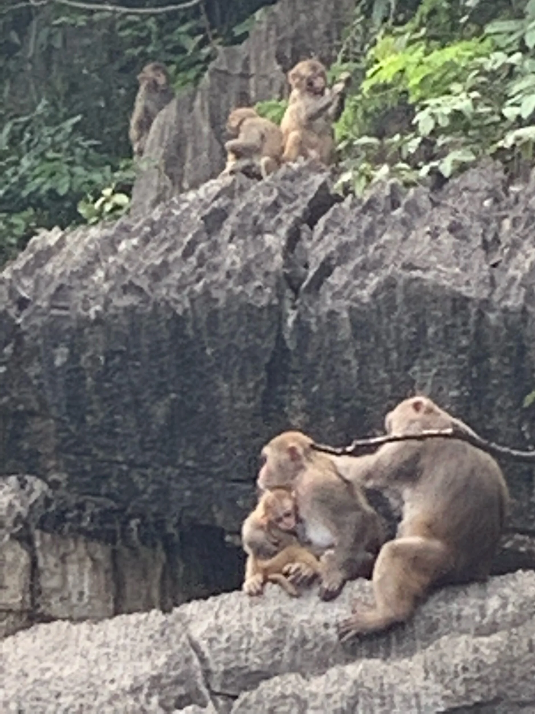 IMG_4497.jpeg