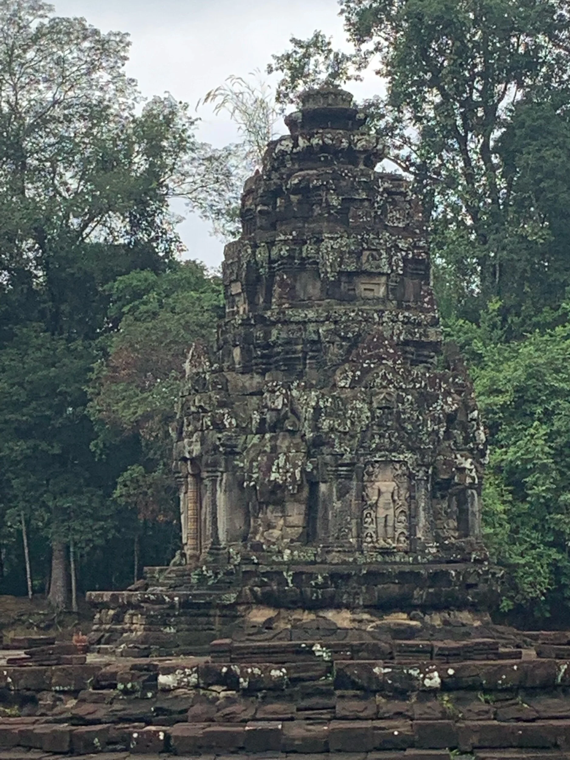 IMG_1205.jpeg