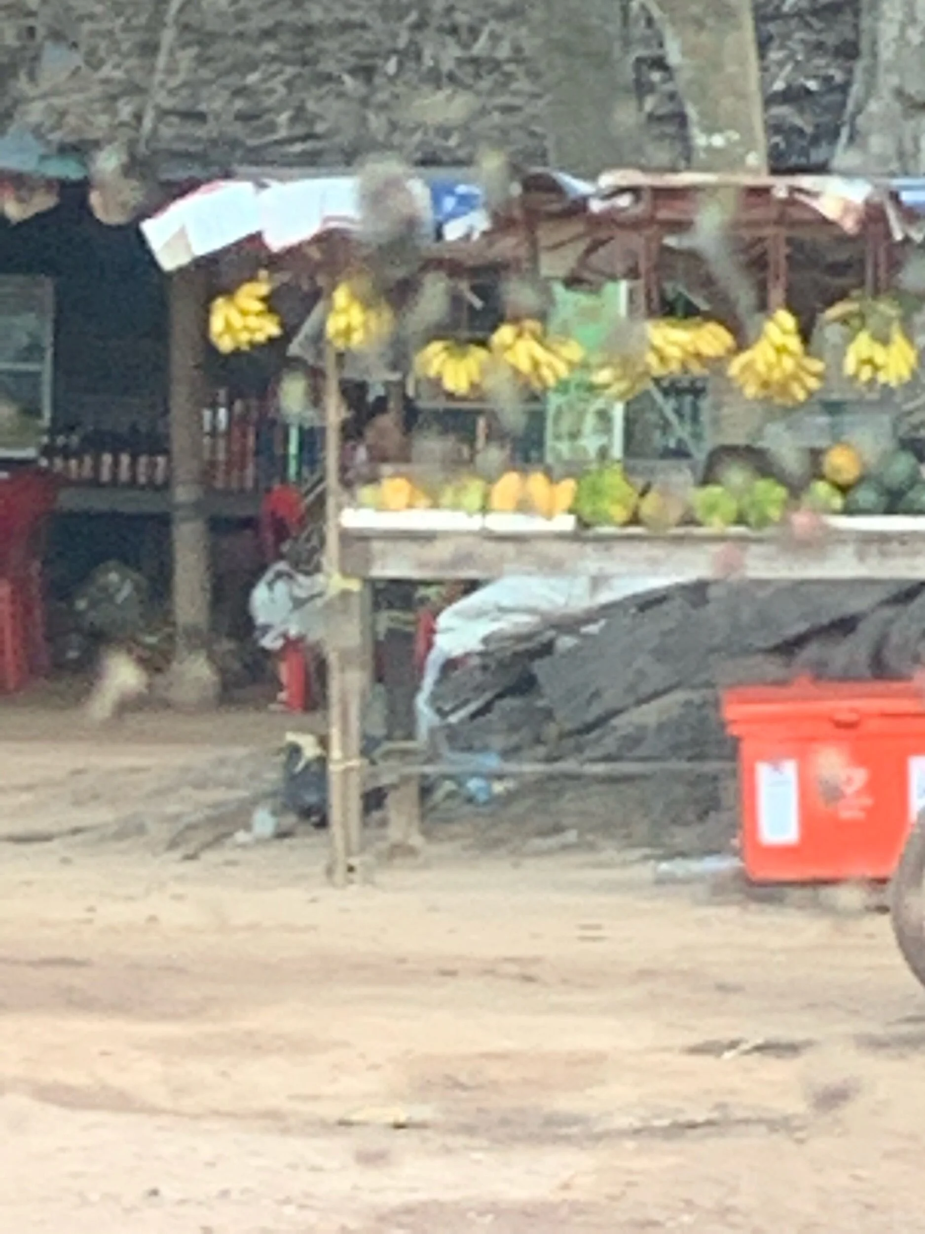 IMG_1237.jpeg