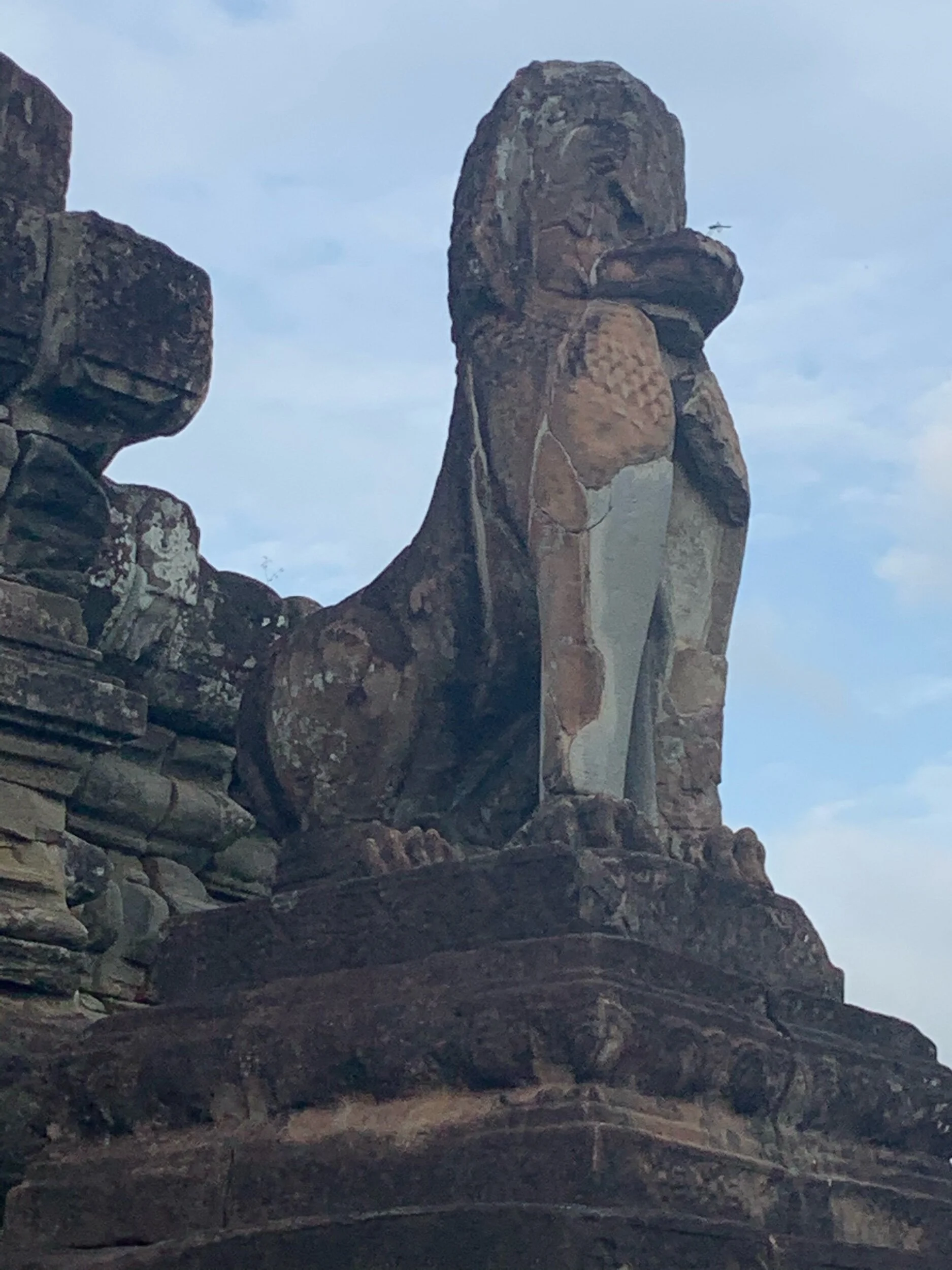 IMG_0118.jpeg