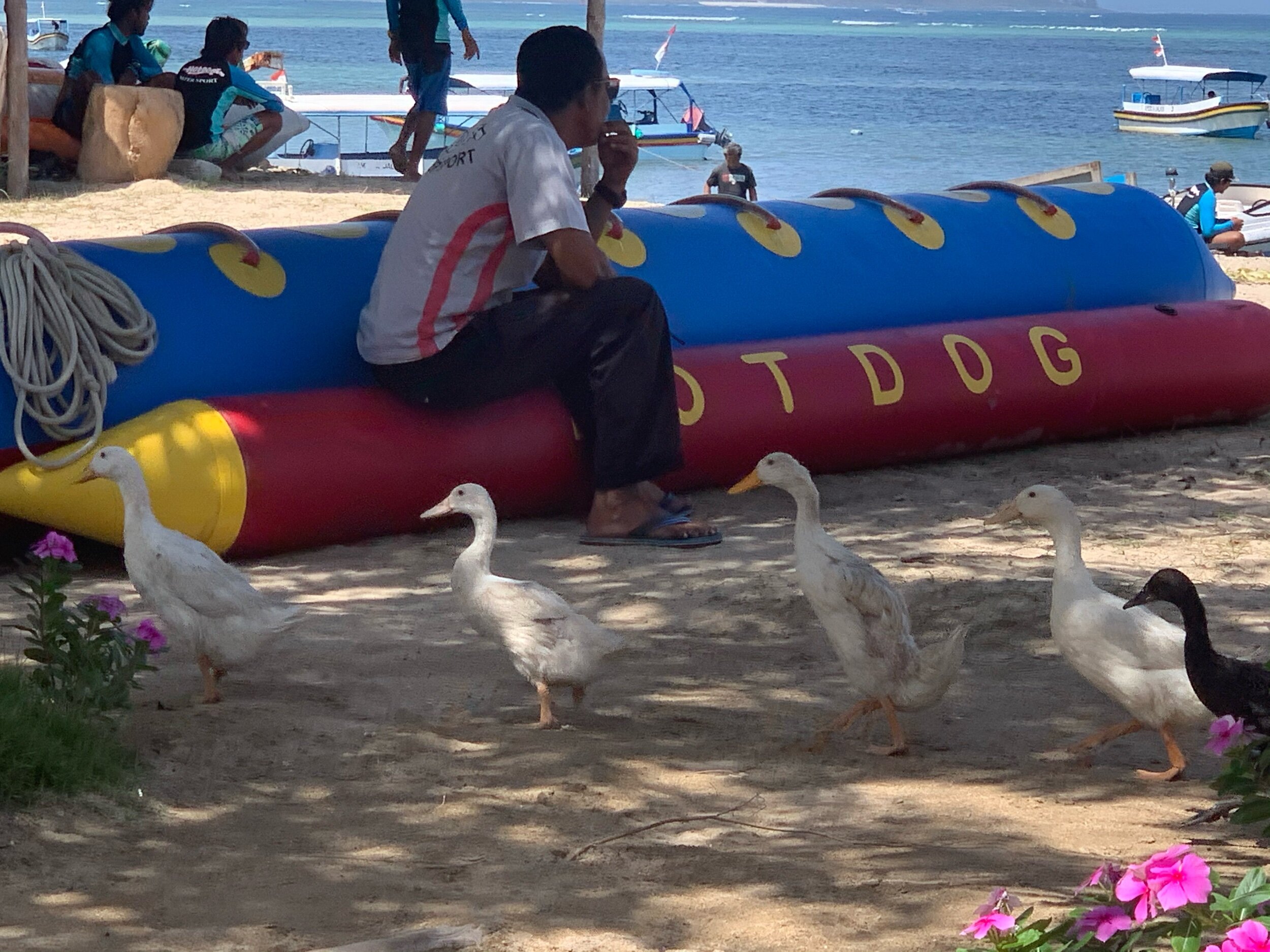 IMG_1970.jpeg