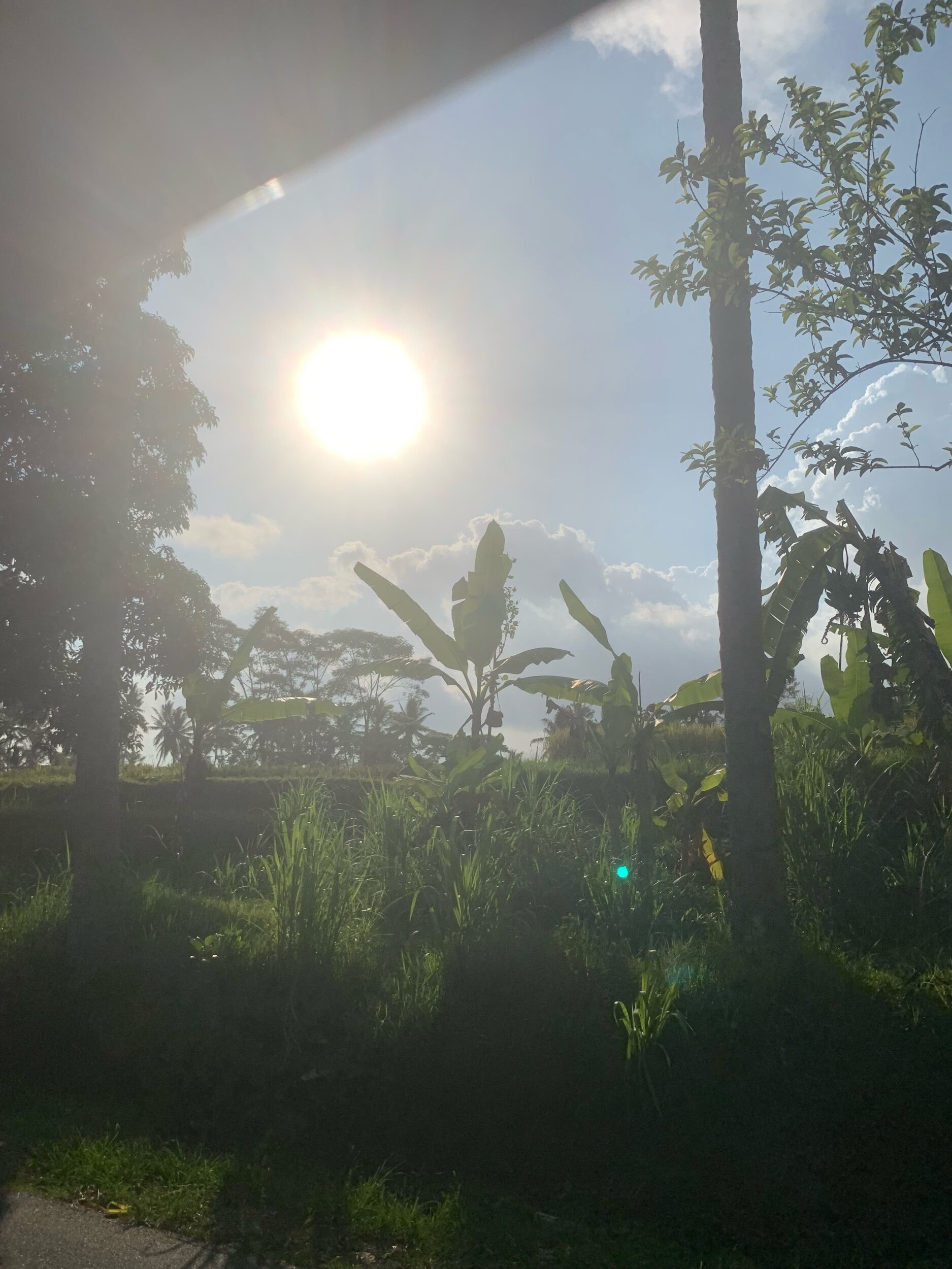 IMG_2645.jpeg