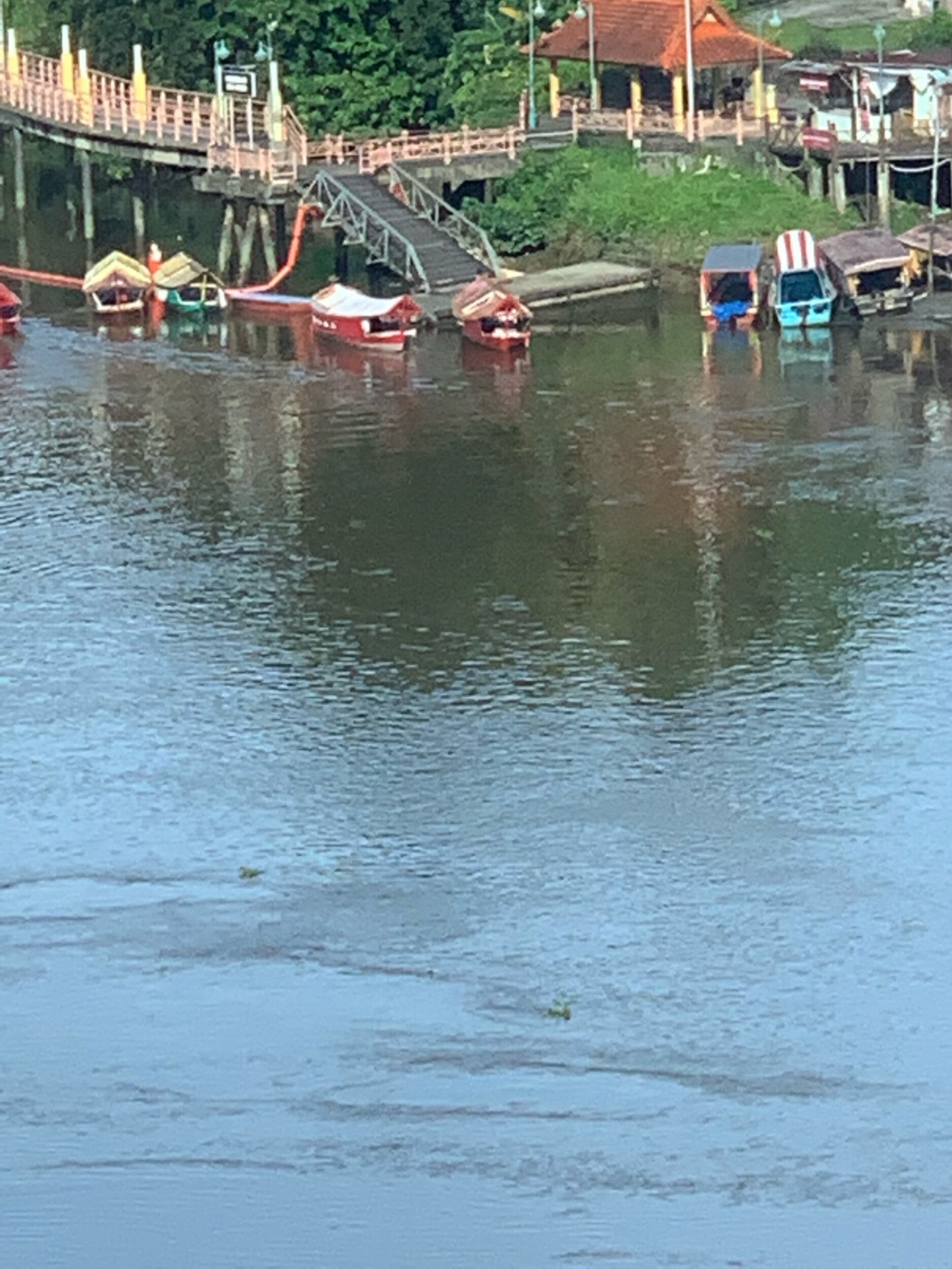 IMG_3990.jpeg