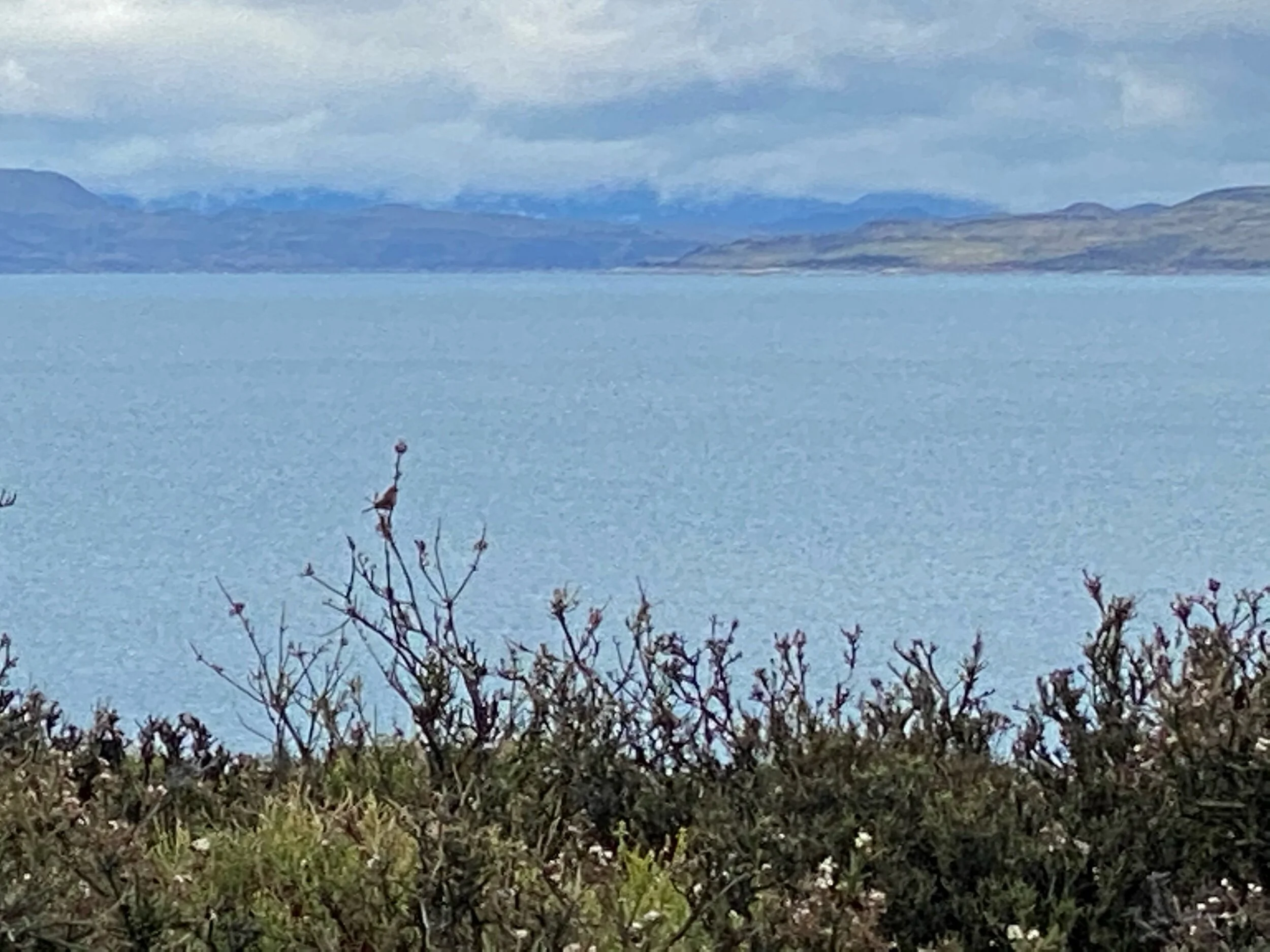 IMG_6847.jpeg