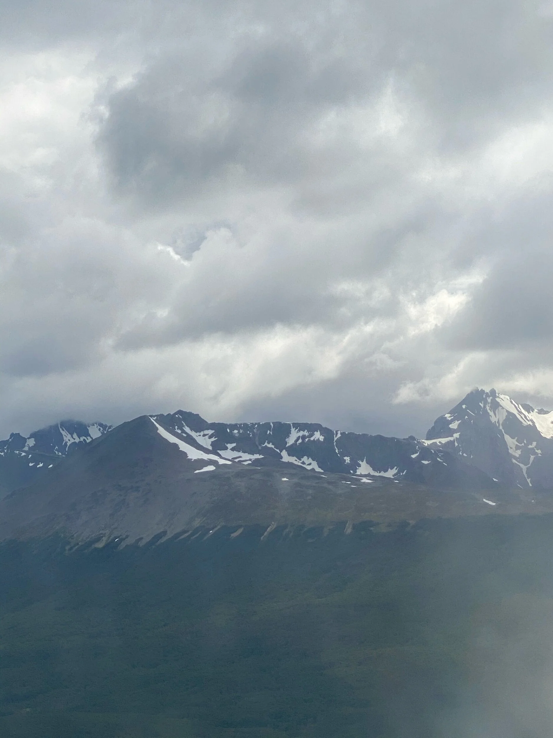 IMG_8138.jpeg