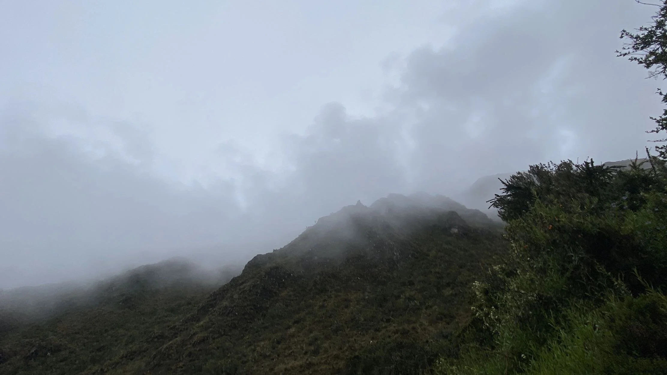 IMG_0988.jpeg