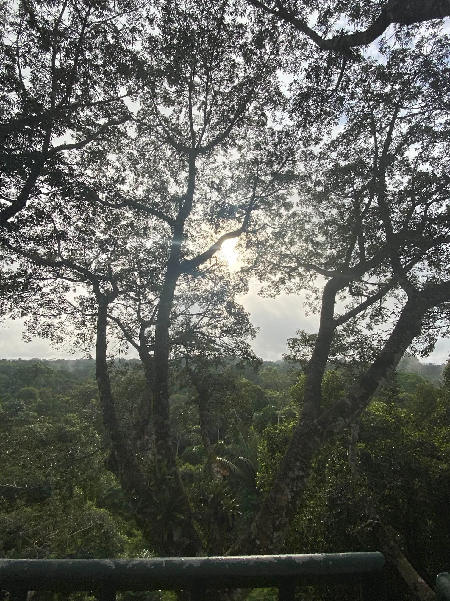 IMG_0314.jpeg