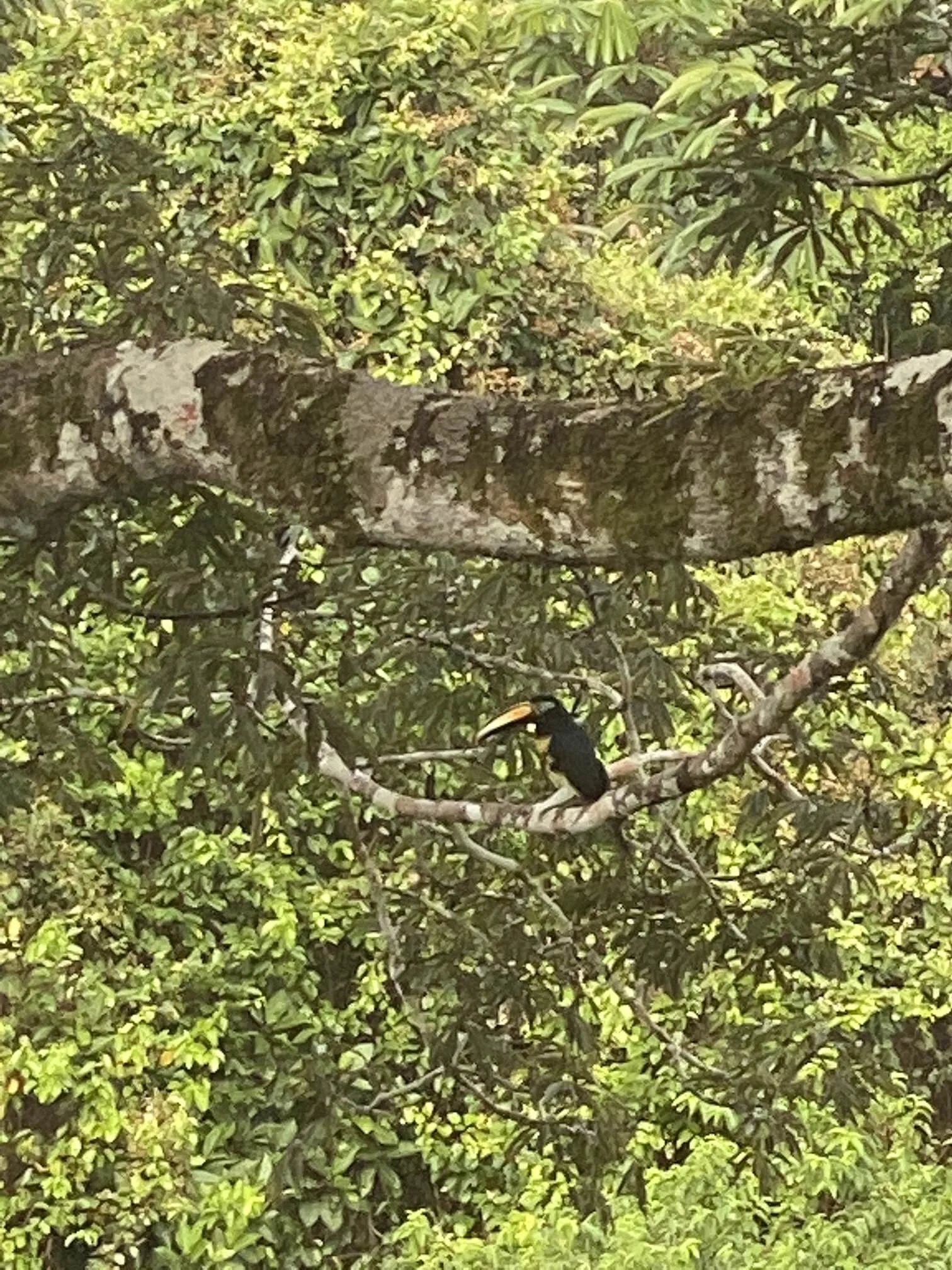 IMG_0317.jpeg