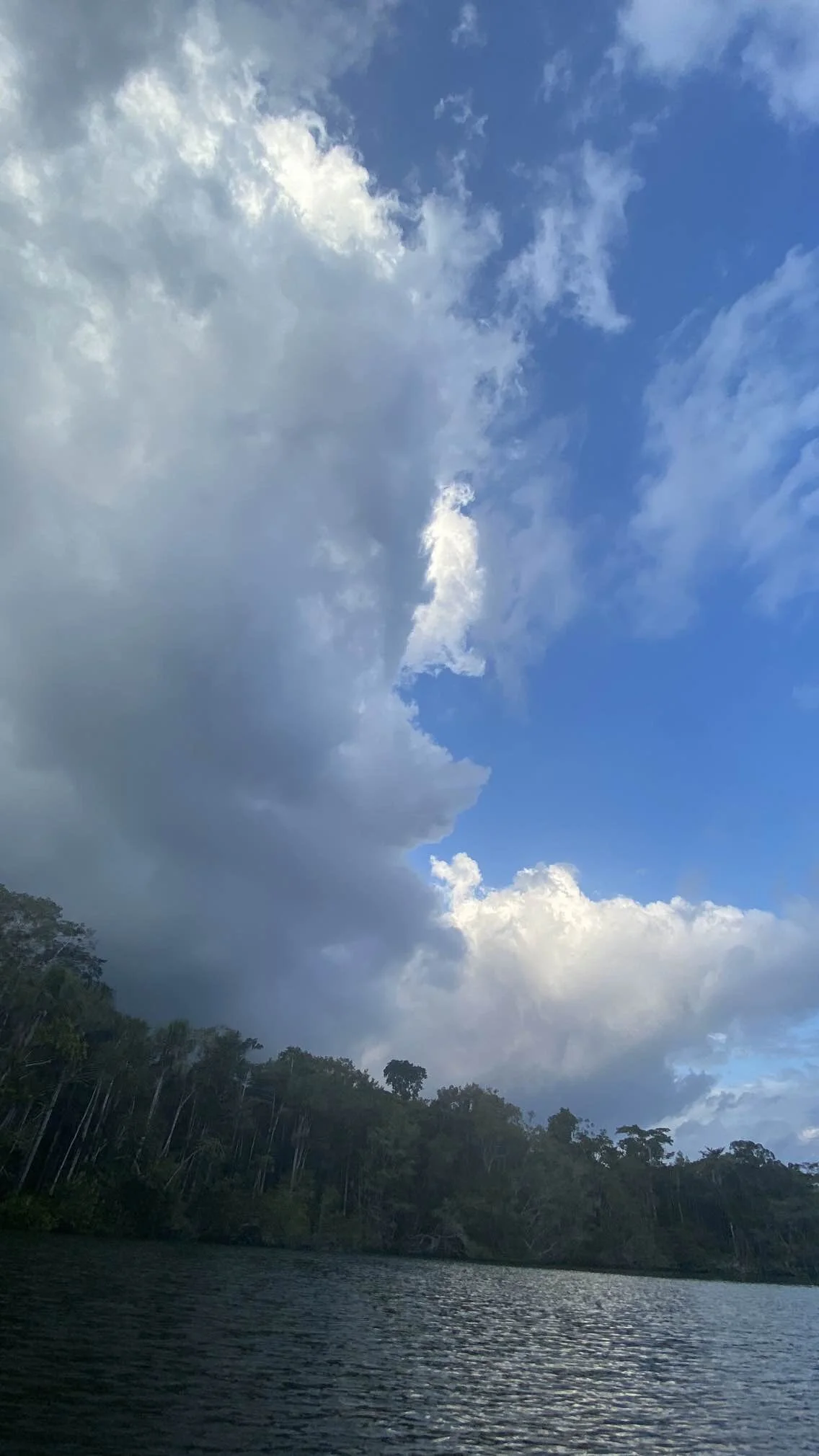 IMG_0351.jpeg