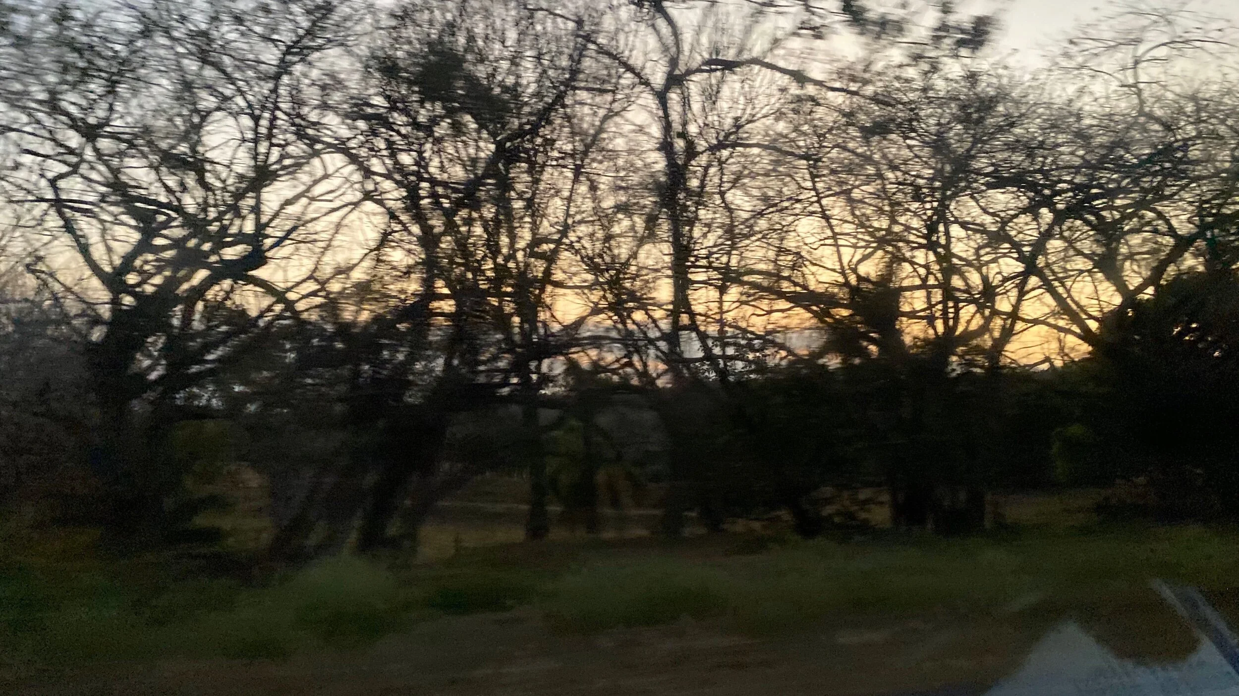 IMG_4906.jpeg