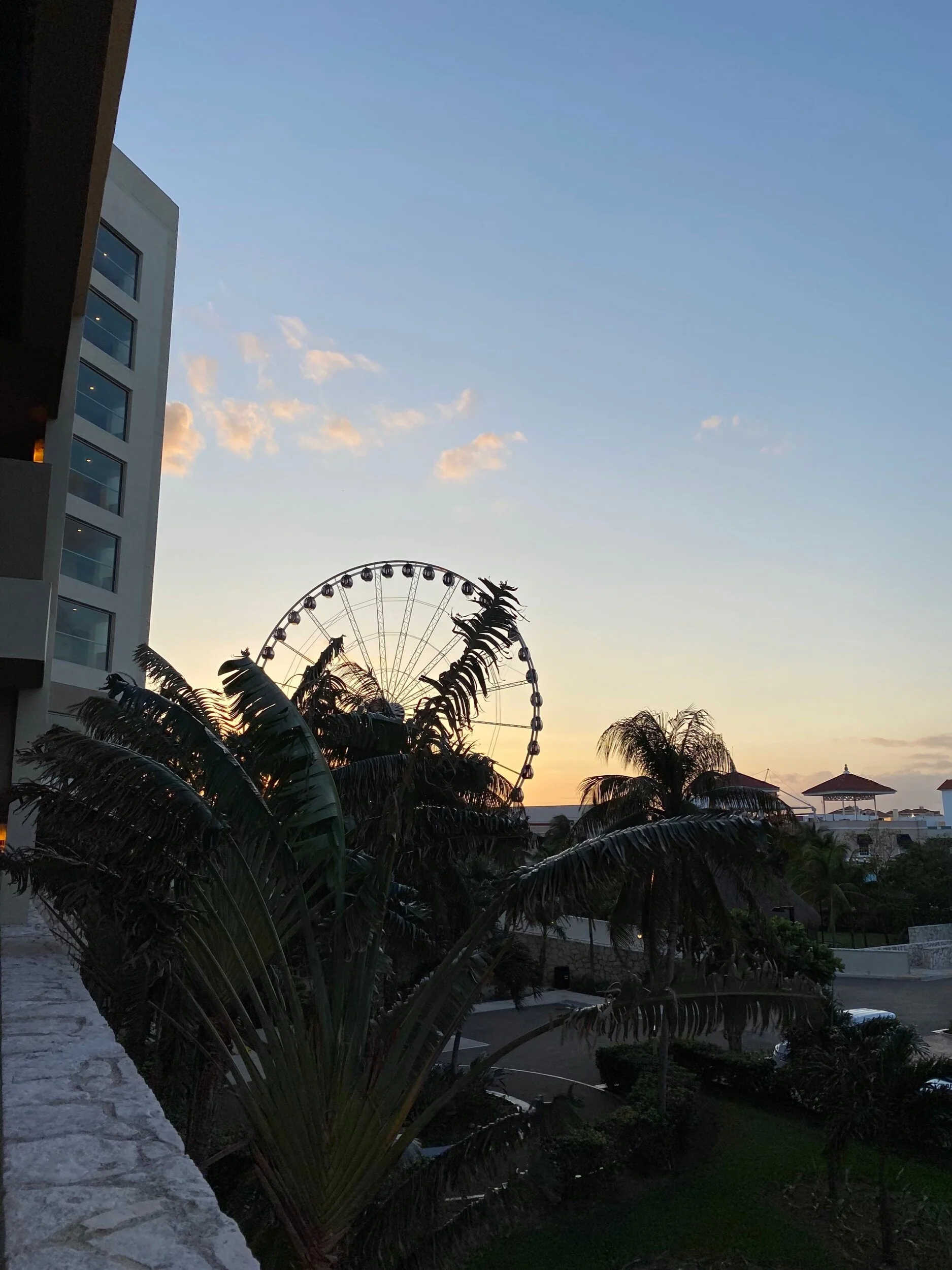 IMG_2670.jpeg